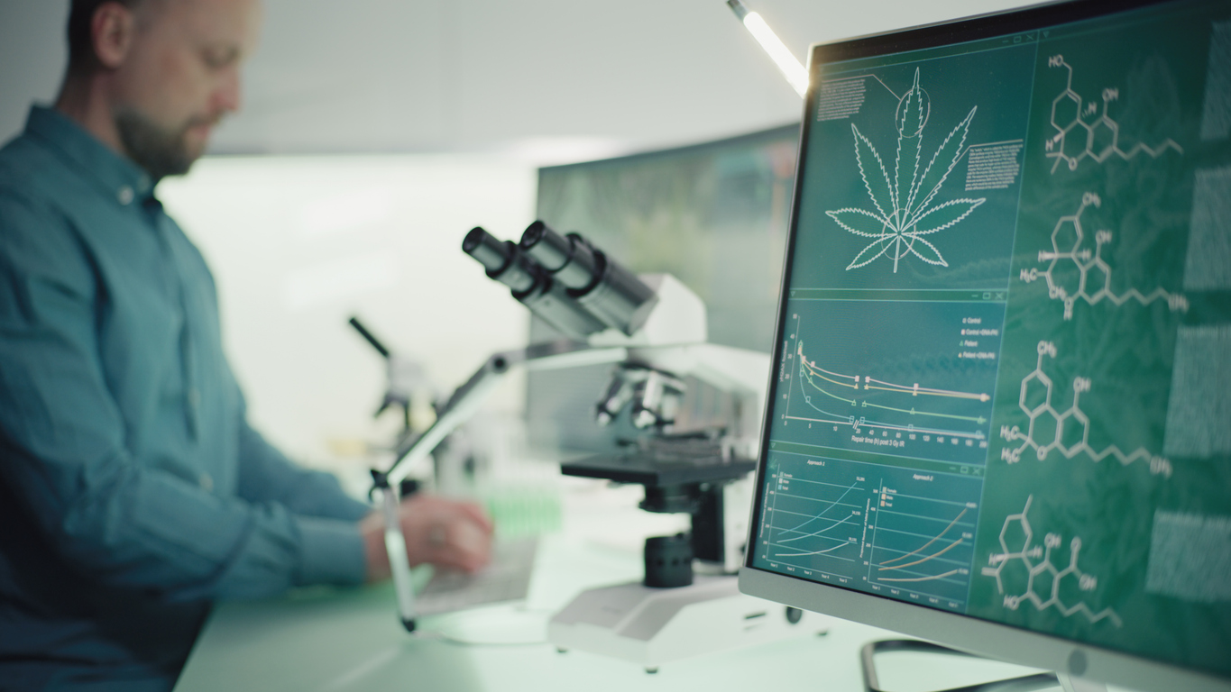 could medical cannabis help?