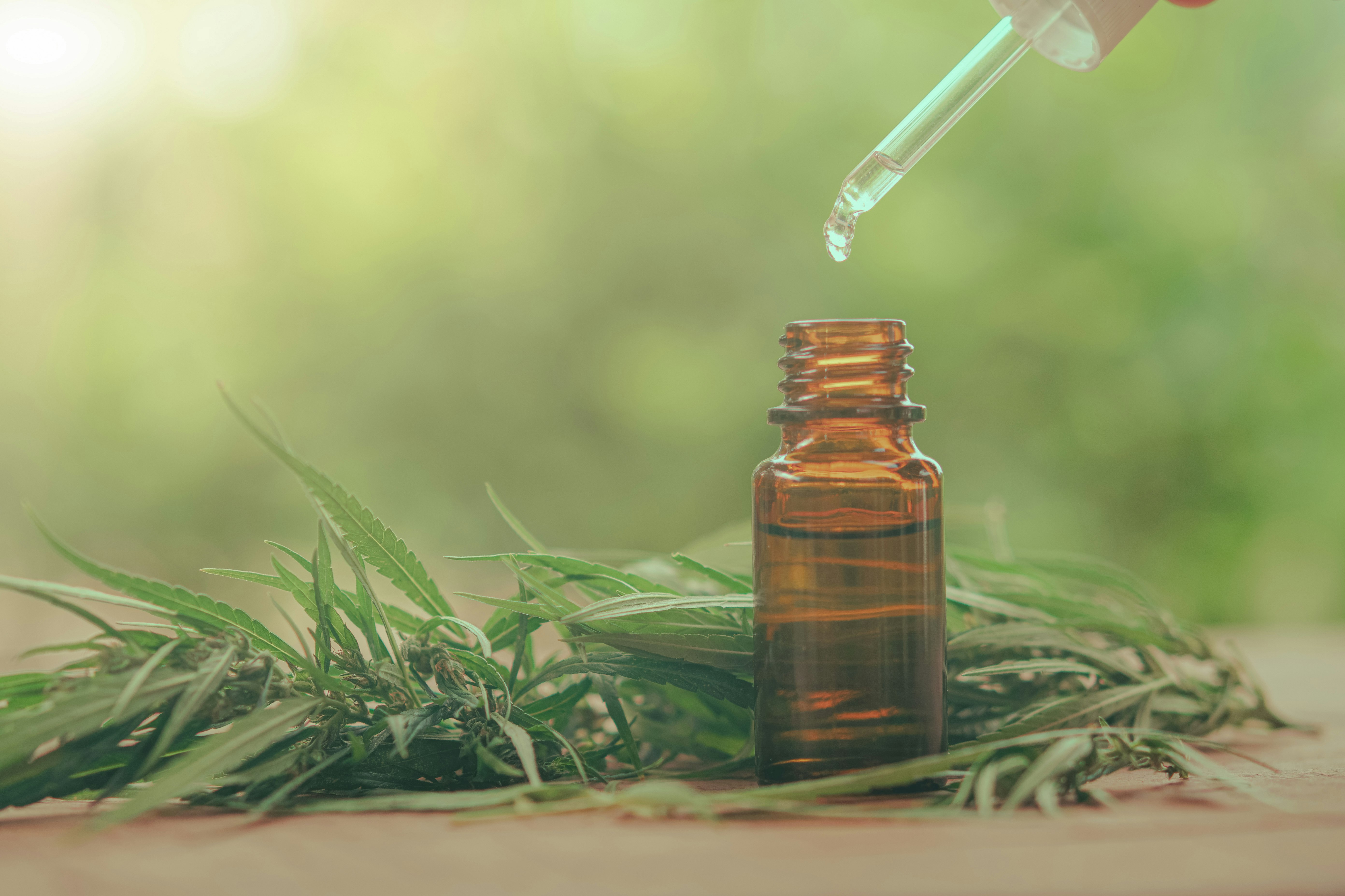 A Guide to the Colour of THC Oil | Releaf UK