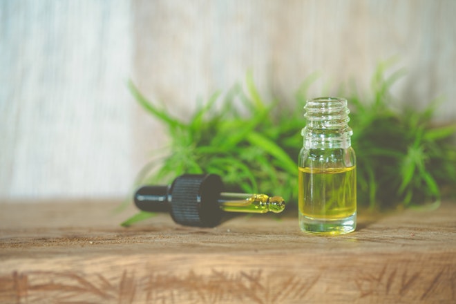 Cannabis oil versus CBD oil: key differences to note