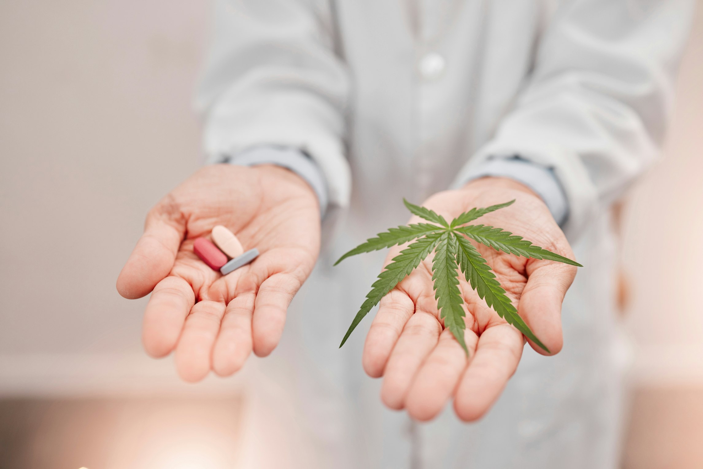 Breaking down CBD isolate 