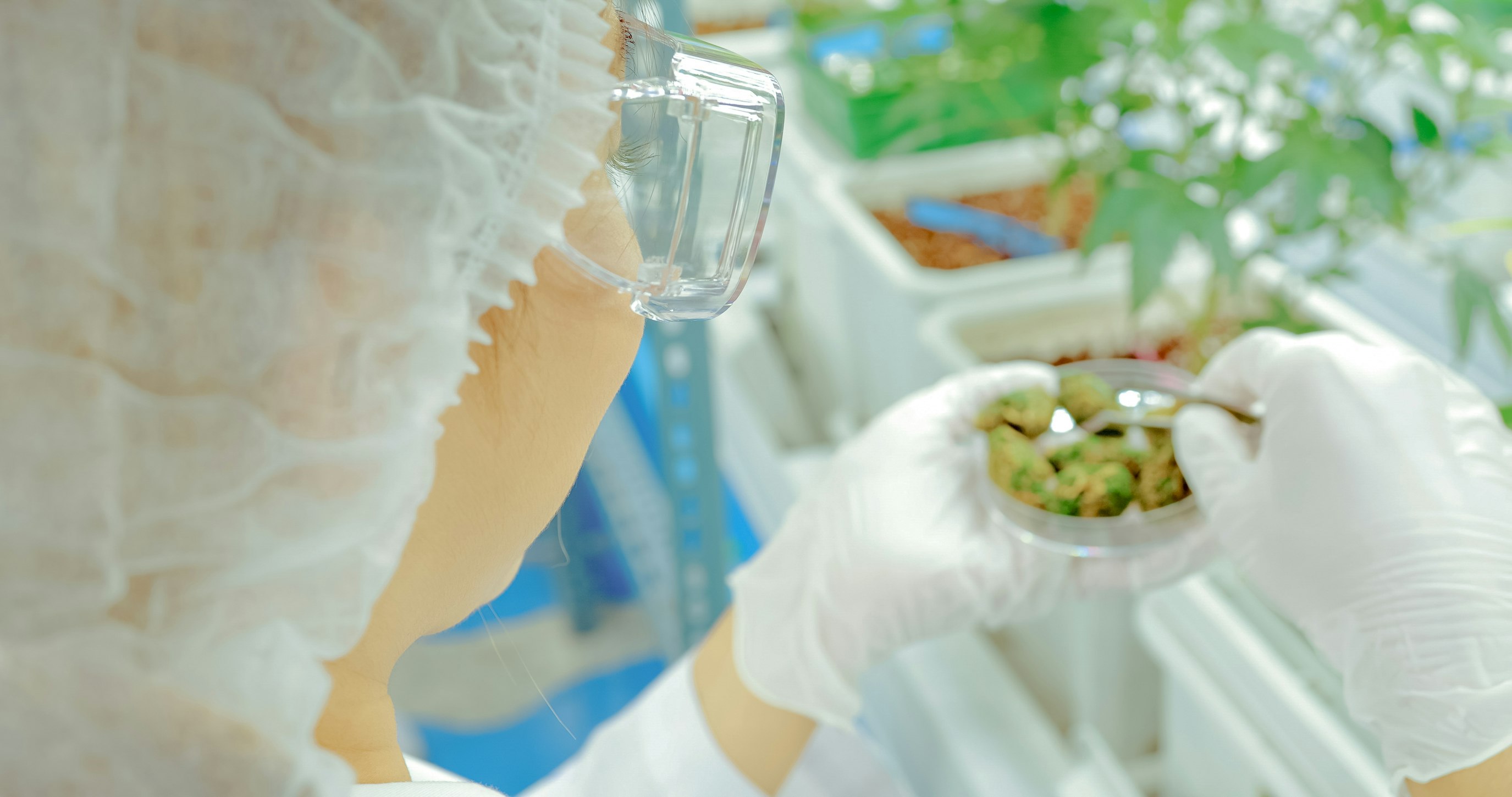 Insightful statistics about medical cannabis in the UK