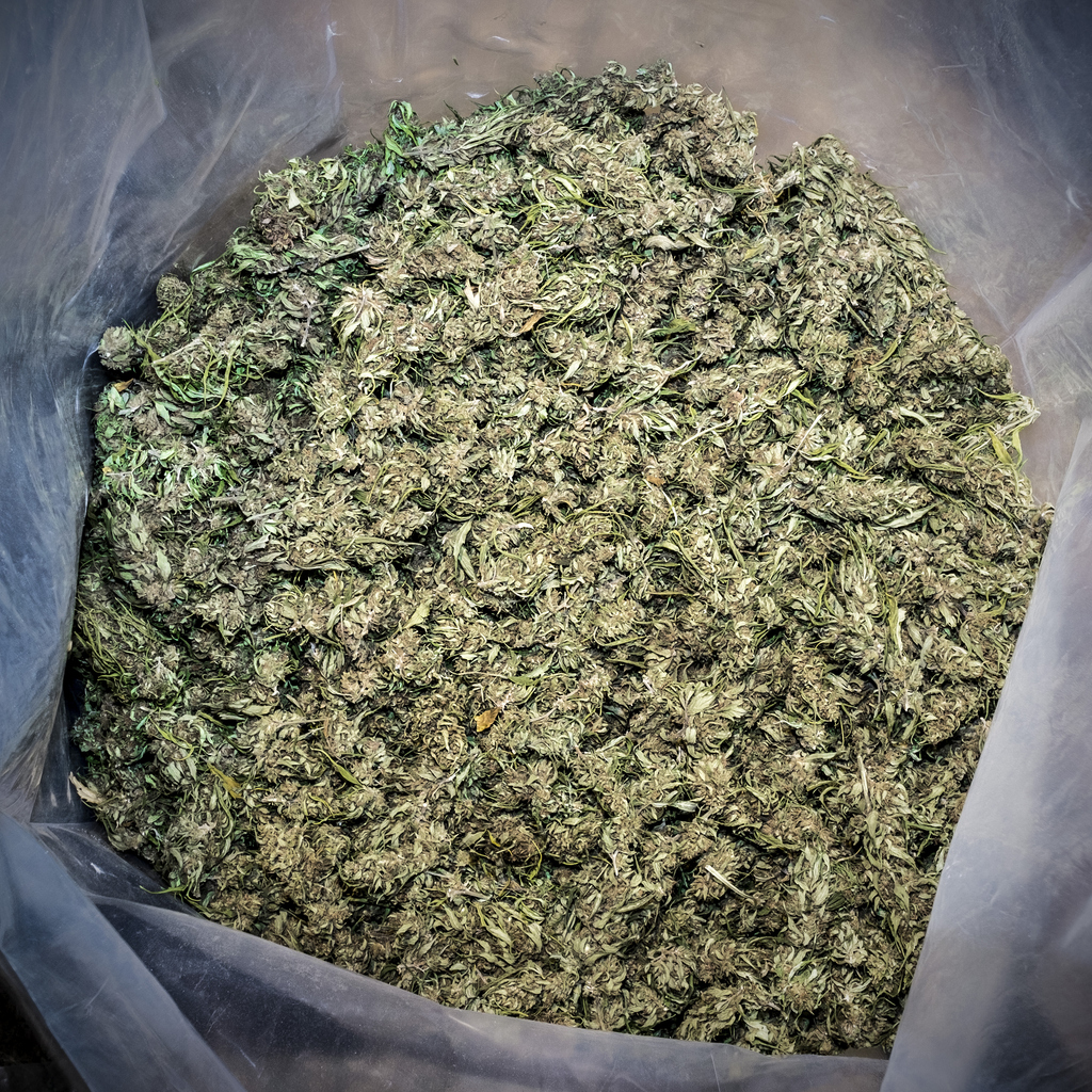 Comparing imported and UK-grown medical cannabis