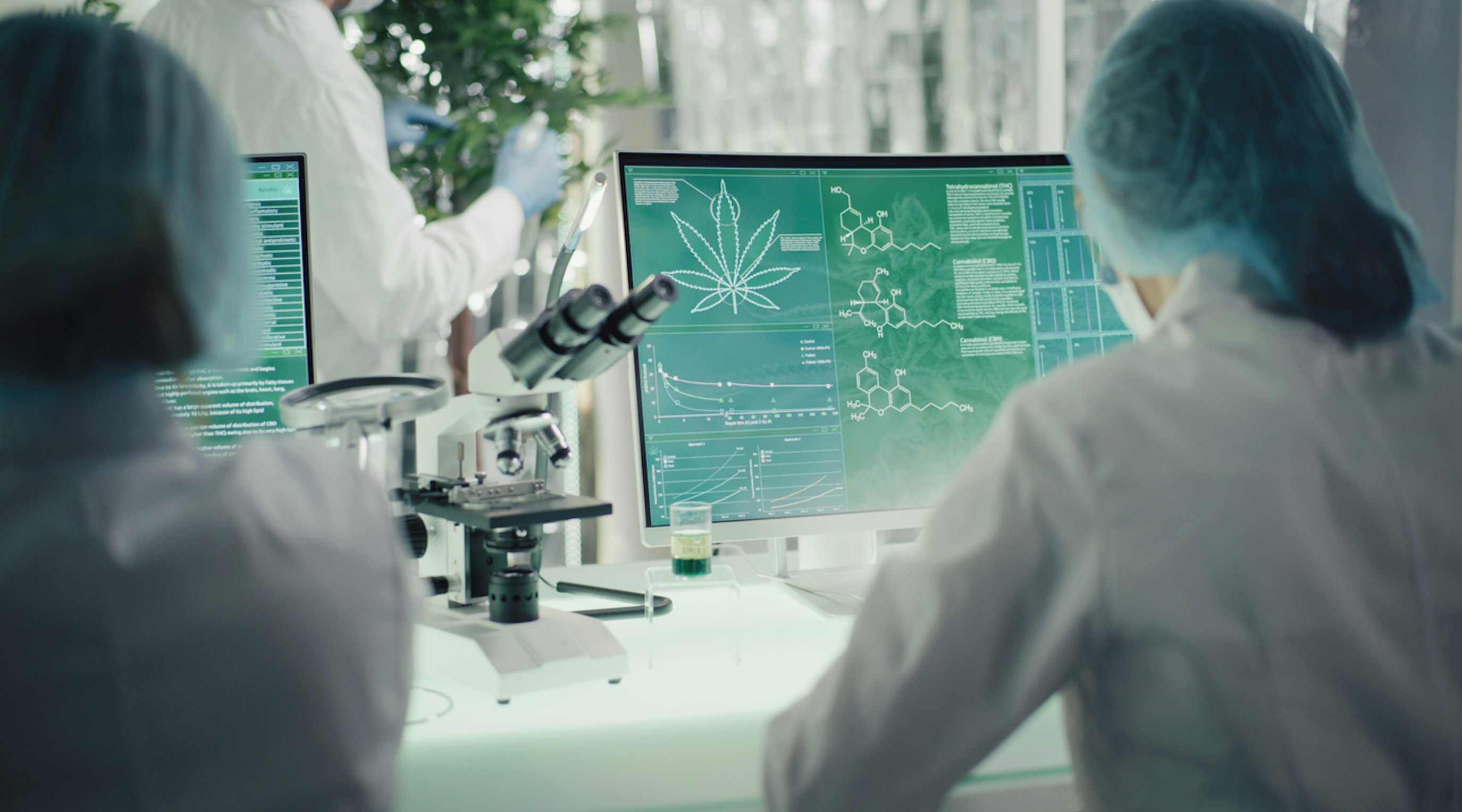 Releaf medical cannabis why a varied formulary is essential Releaf medical cannabis why a varied formulary is essential