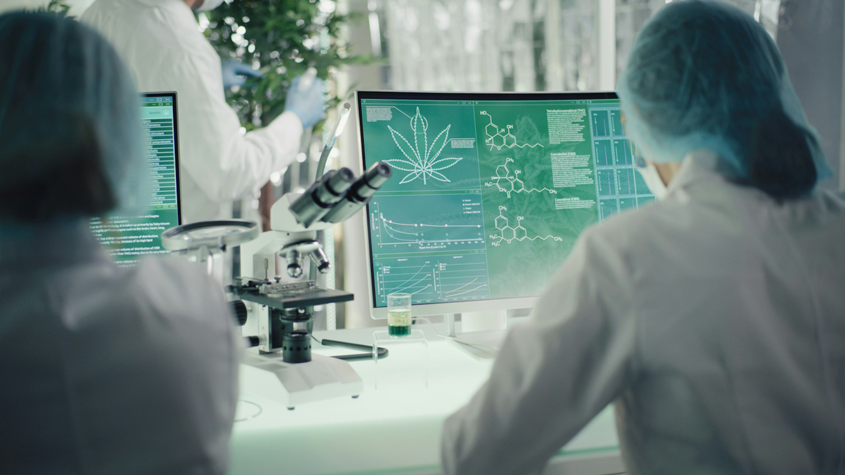 Releaf medical cannabis why a varied formulary is essential
