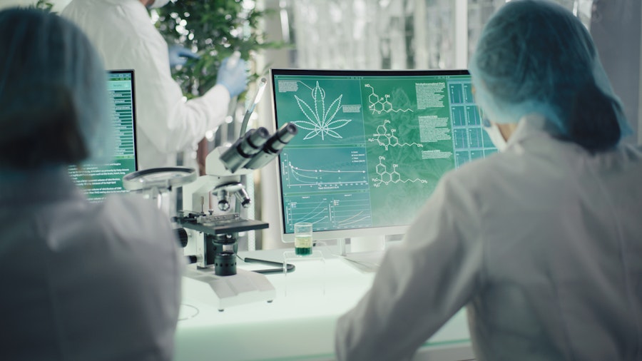 Releaf medical cannabis why a varied formulary is essential