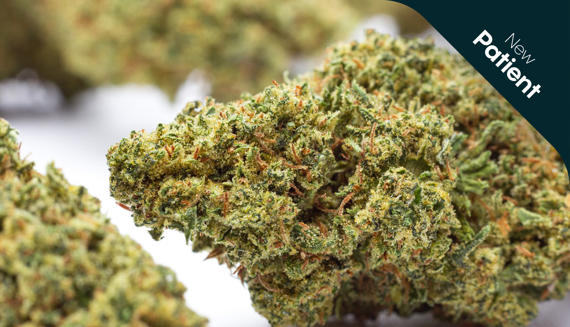 what-medications-interact-with-medical-cannabis