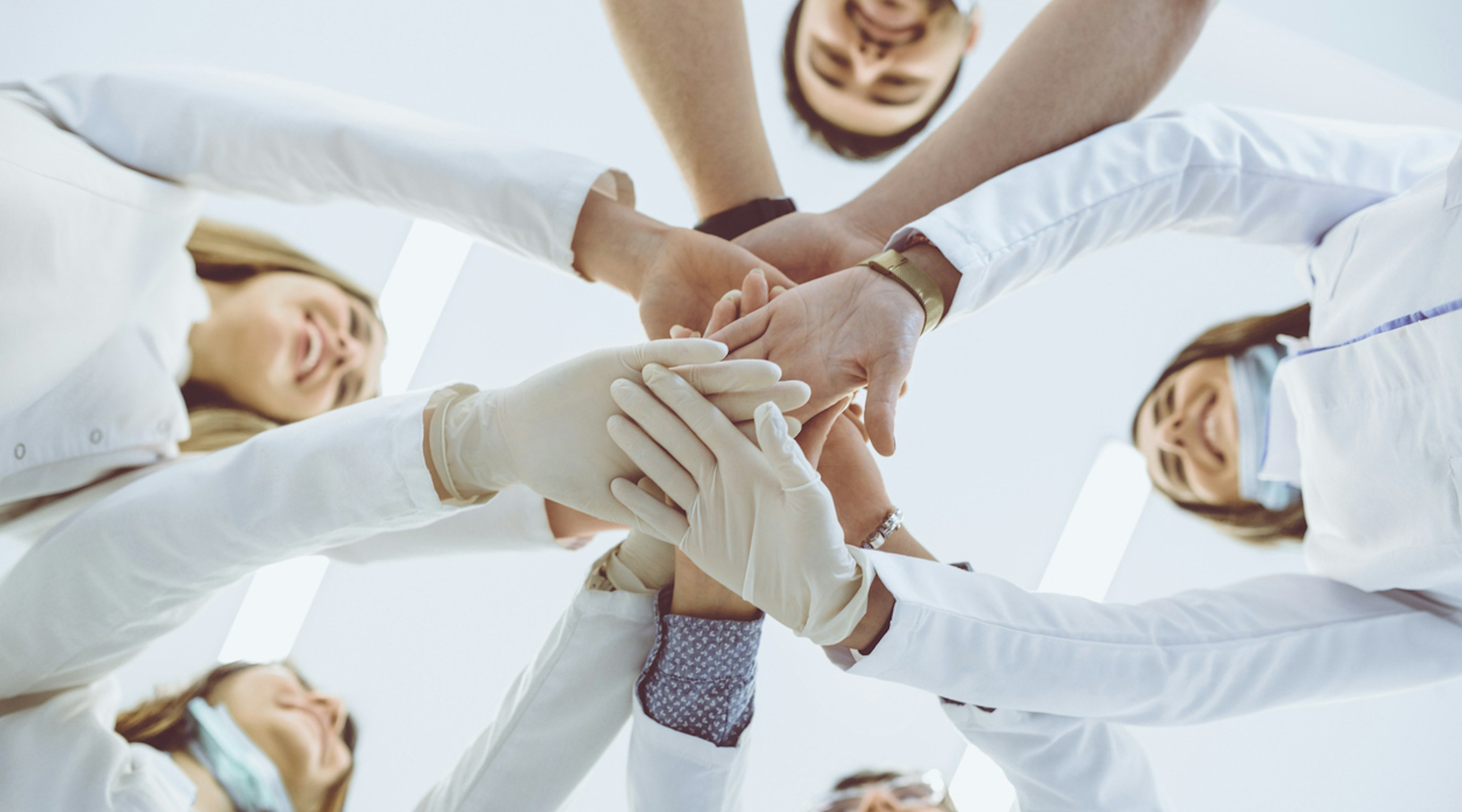 Six monumental moments in the first six months of Releaf Six monumental moments in the first six months of Releaf