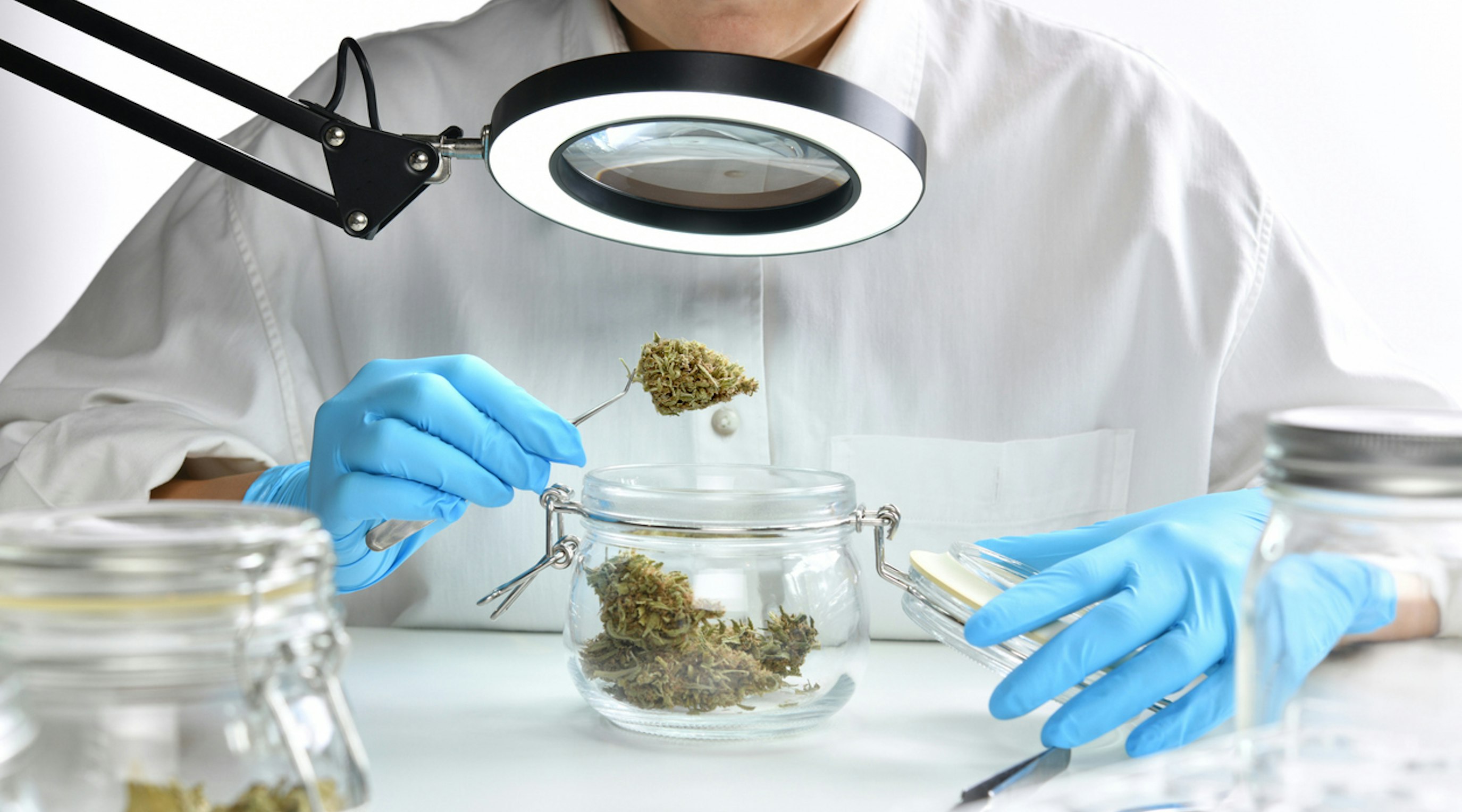 Understanding medical cannabis a beginner's guide to irradiated and non-irradiated options Understanding medical cannabis a beginner's guide to irradiated and non-irradiated options