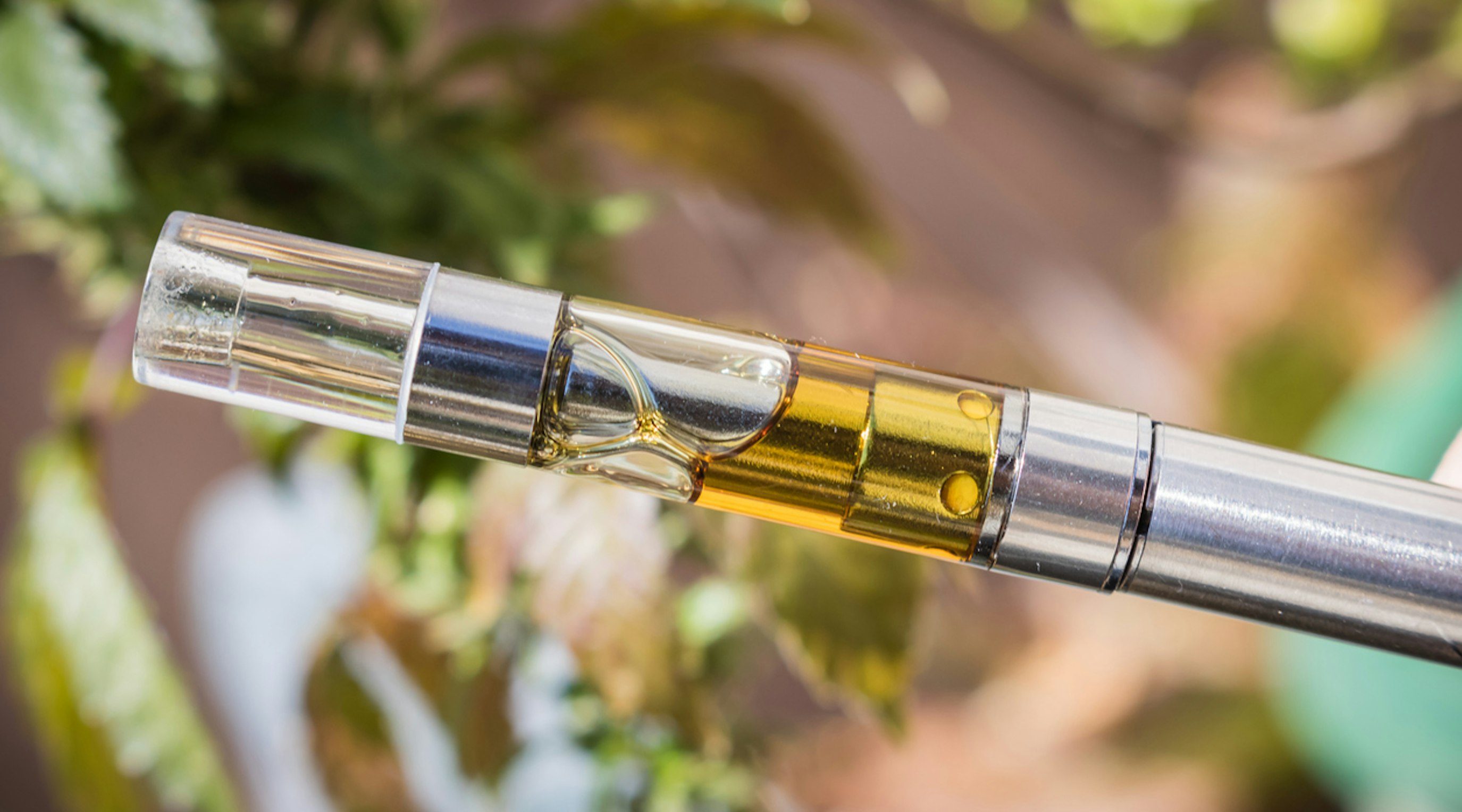 THC The ultimate guide to the most abundant cannabinoid THC The ultimate guide to the most abundant cannabinoid