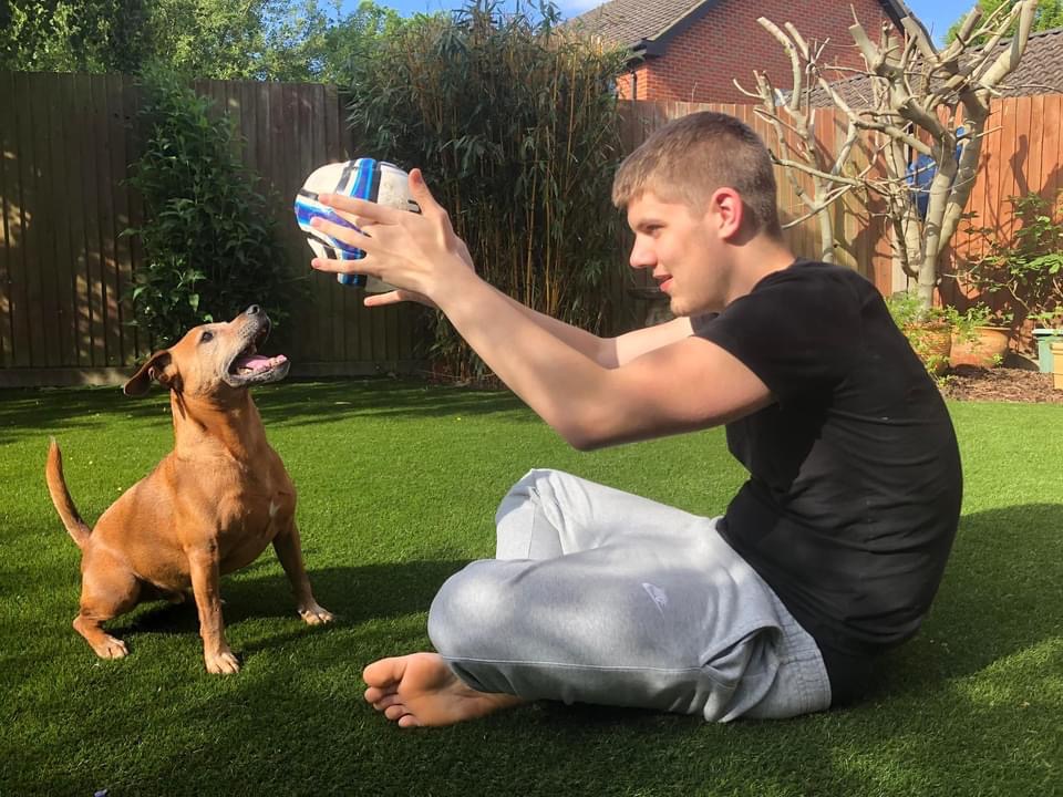 Harry playing with his dog