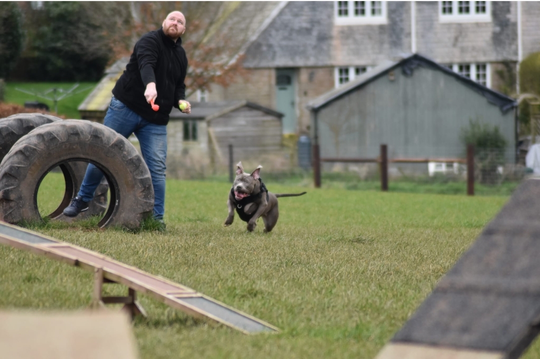 Ryan playing with his dog