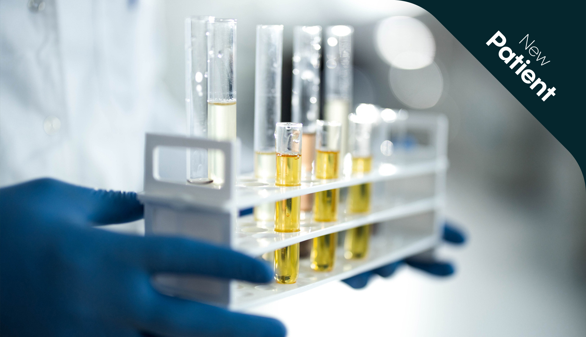 What is in medical cannabis oil