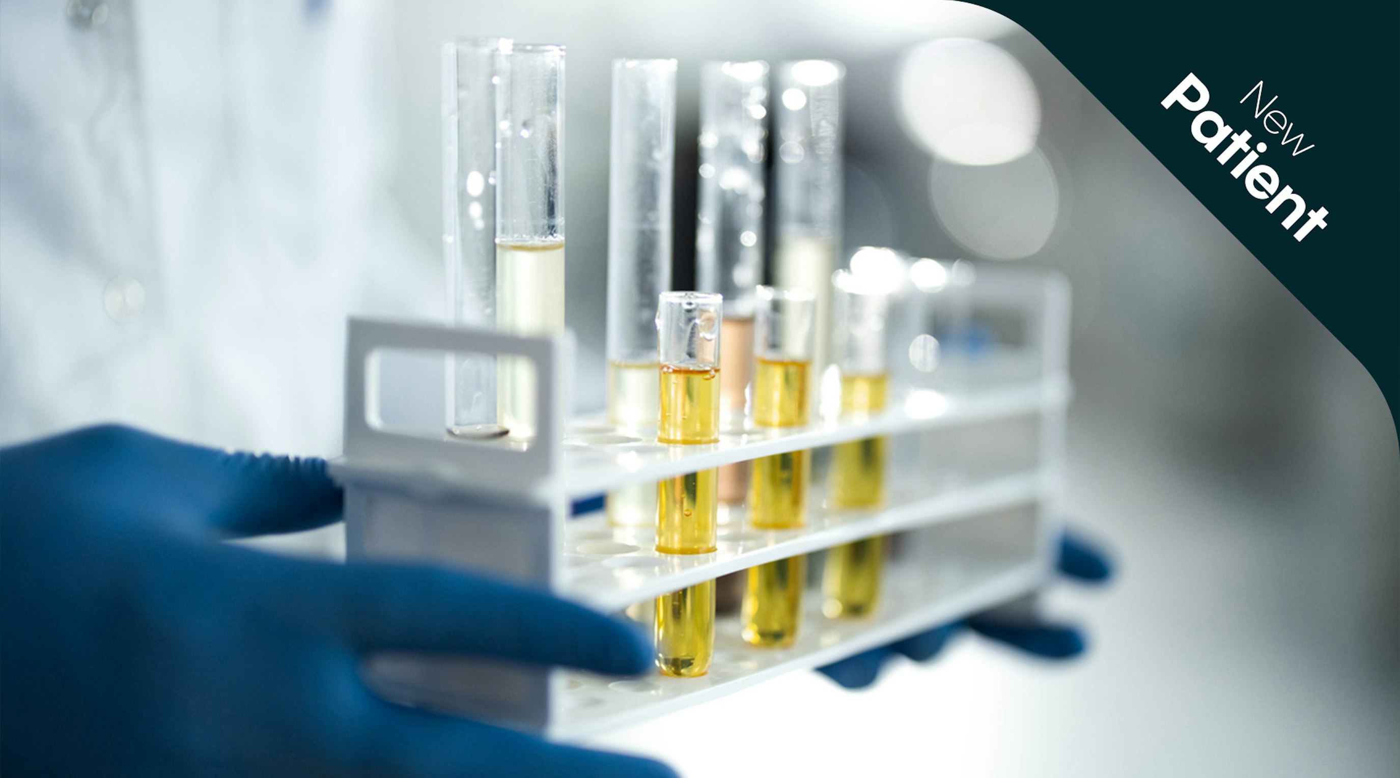 What is in medical cannabis oil What is in medical cannabis oil