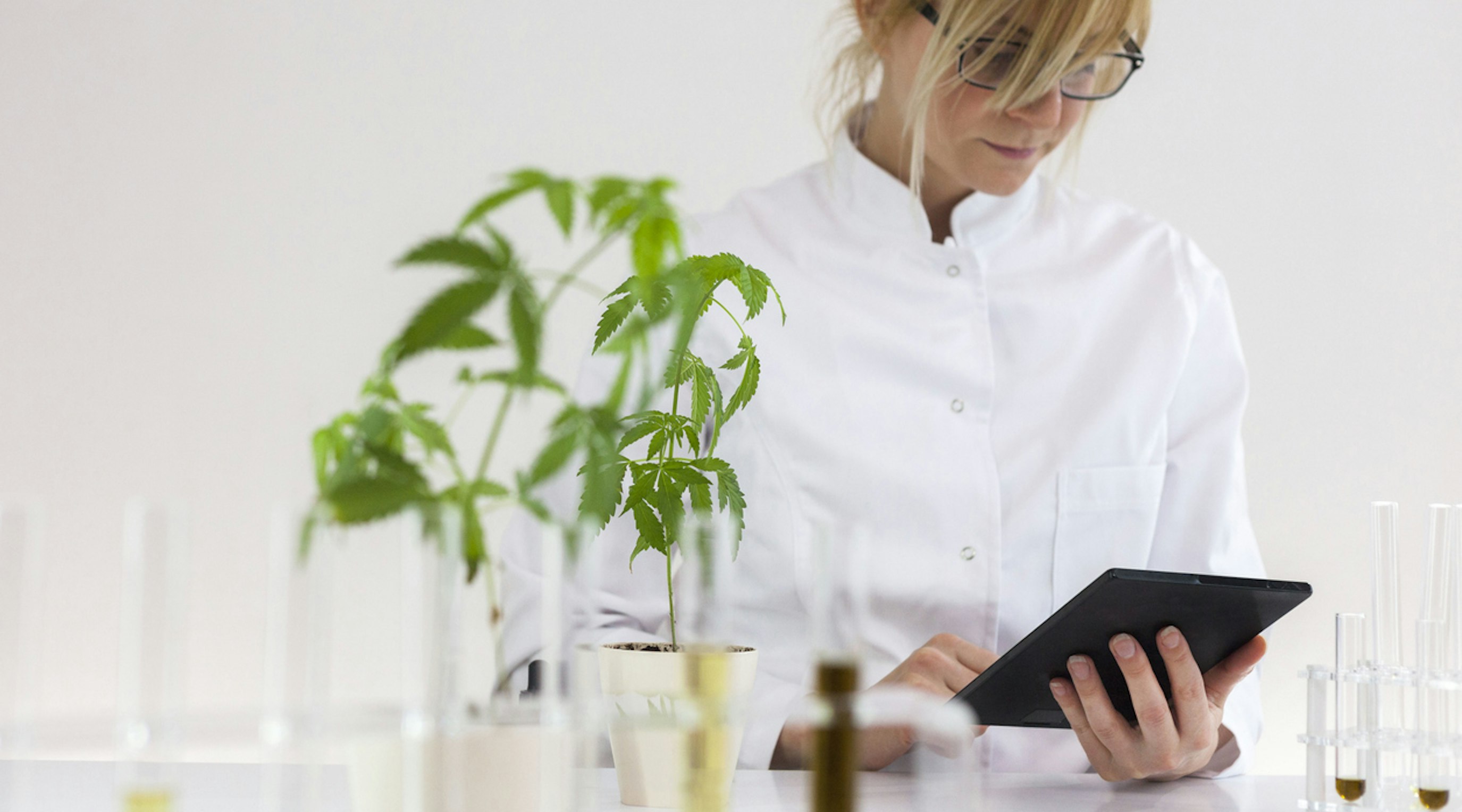 Medical cannabis in Wales: how to access treatment Medical cannabis in Wales: how to access treatment