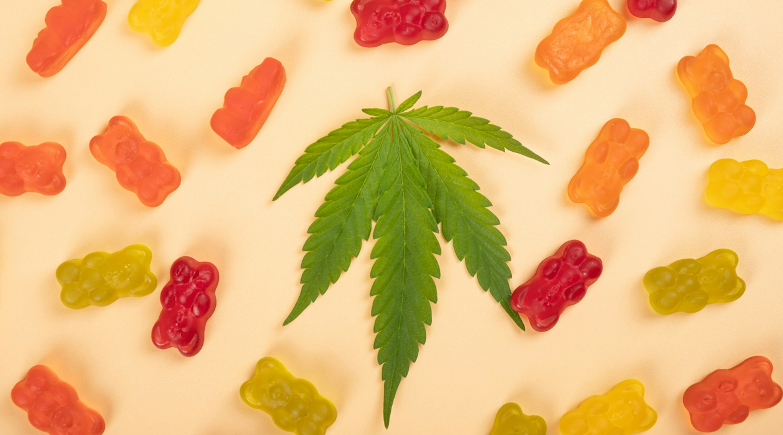 THC edibles and THC gummies THC edibles and THC gummies