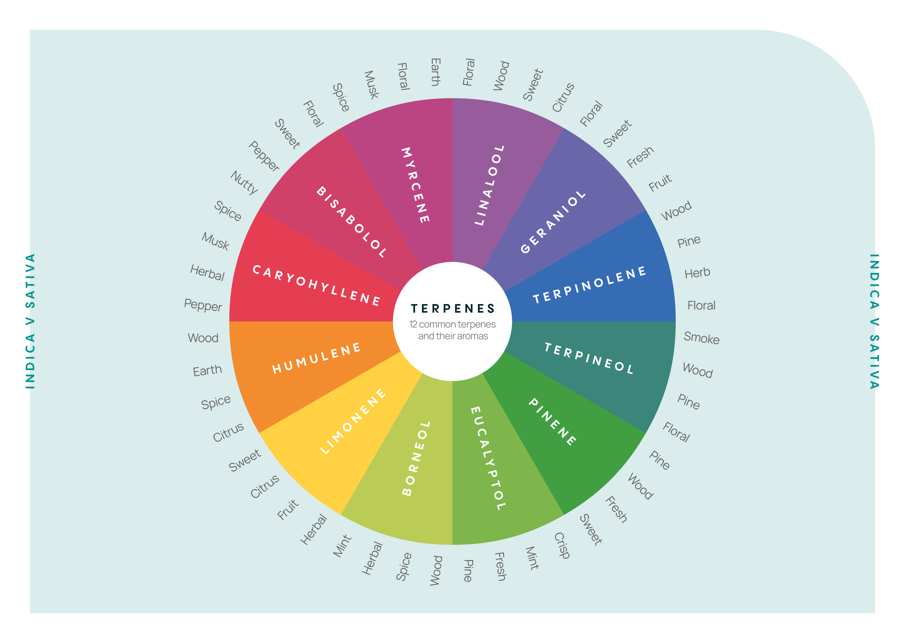 What role do terpenes play in CBD oil