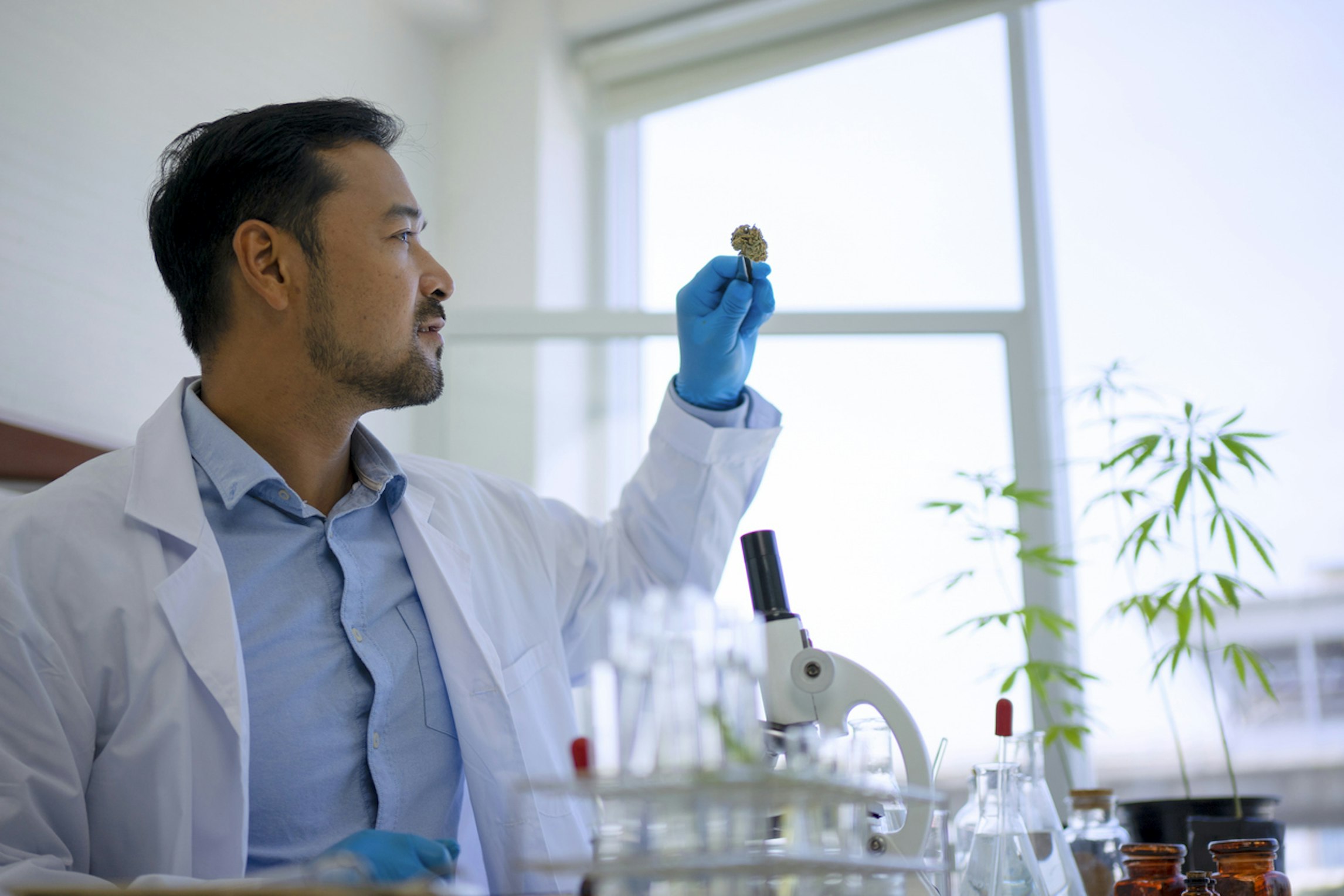 Reflecting on medical cannabis research: Yes We Can Reflecting on medical cannabis research: Yes We Can