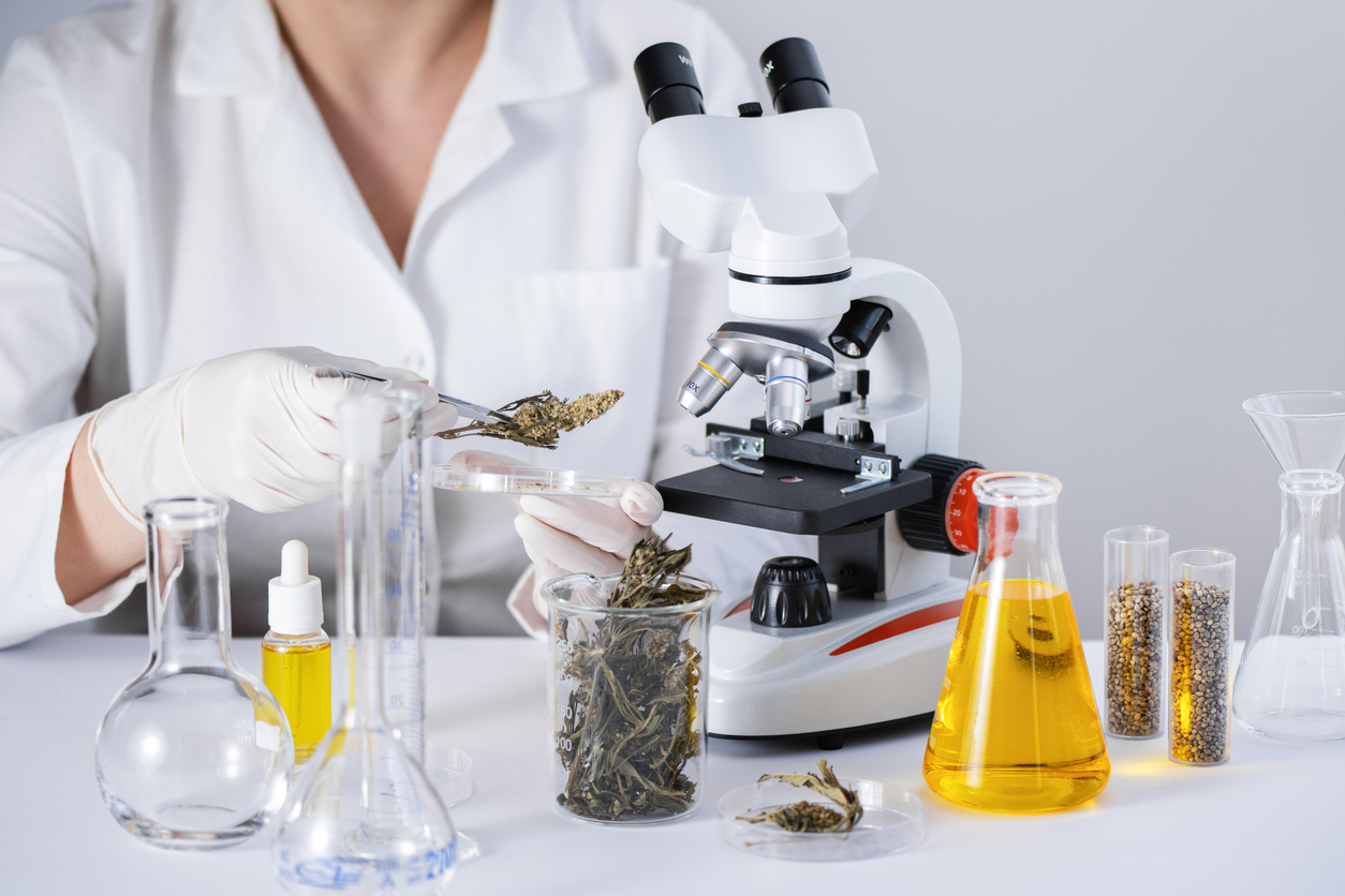 Medical Cannabis Research Industry