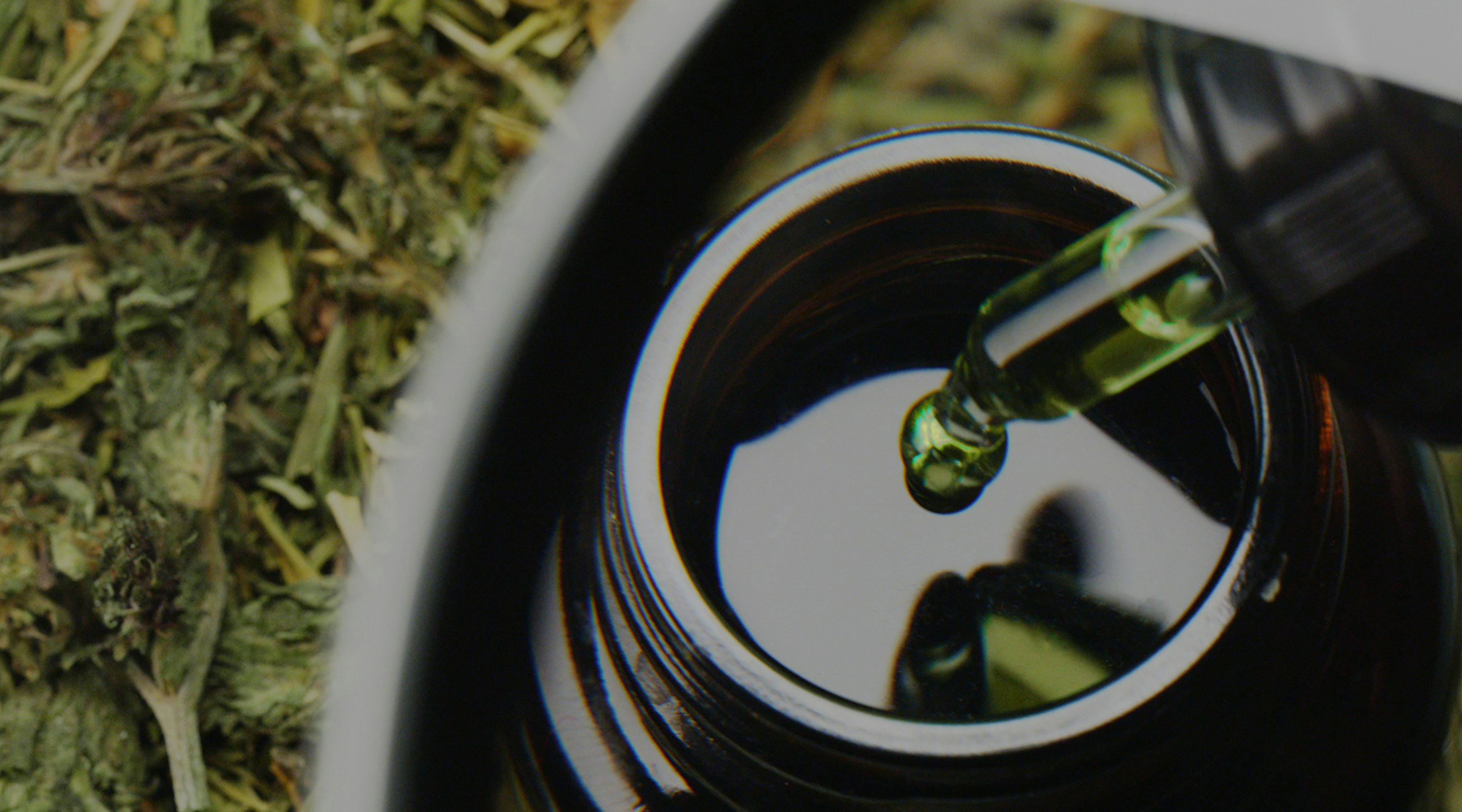 Veganuary - is medical cannabis oil vegan Veganuary - is medical cannabis oil vegan