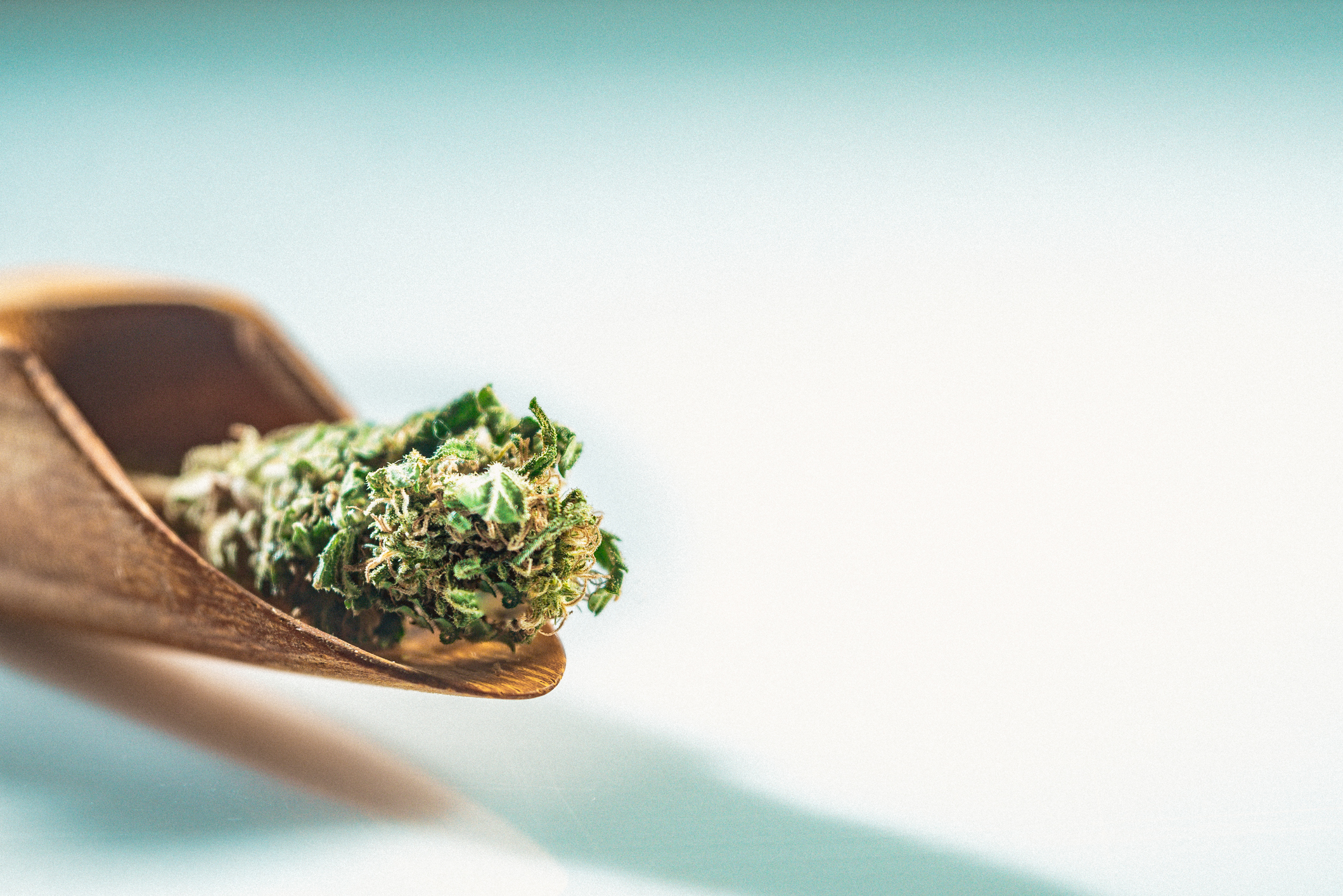 Medical Cannabis Flower
