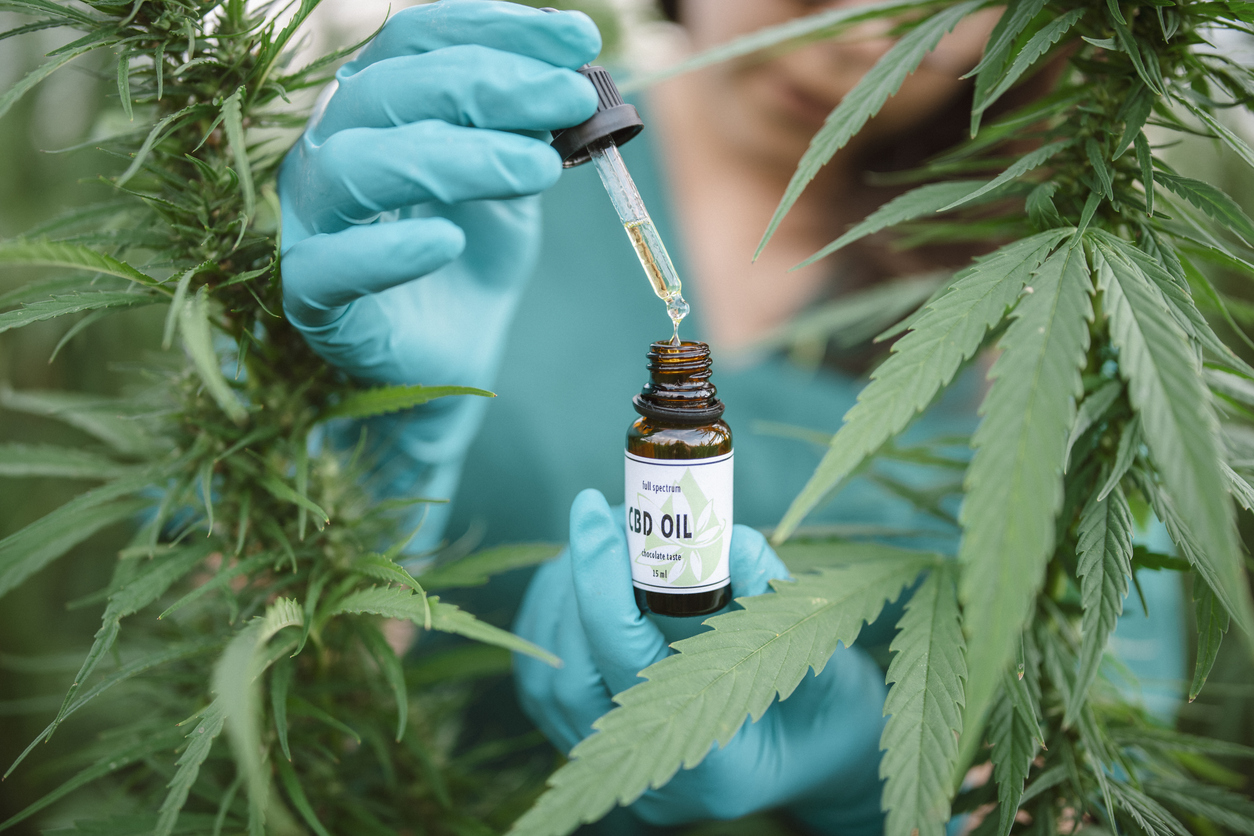 Medical cannabis in public 