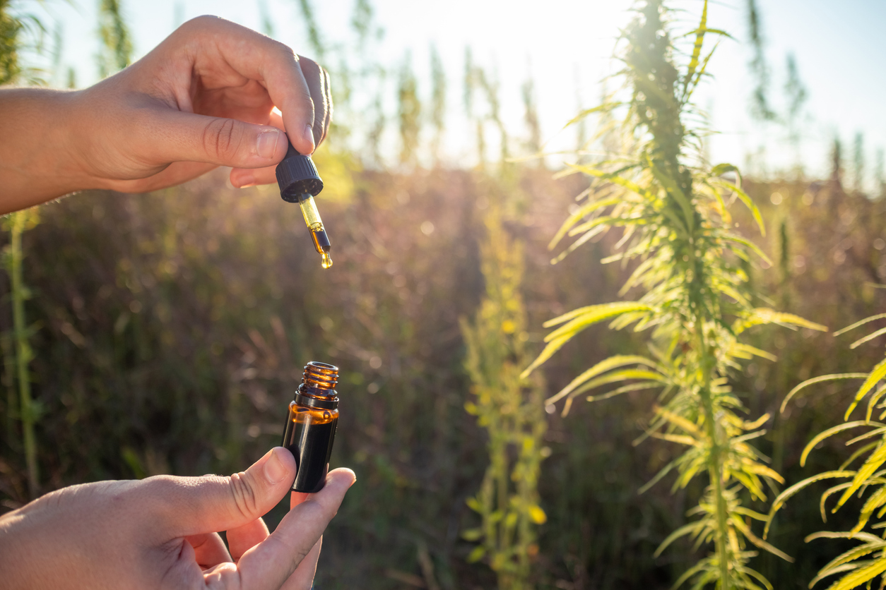 Cannabis for chemotherapy nausea