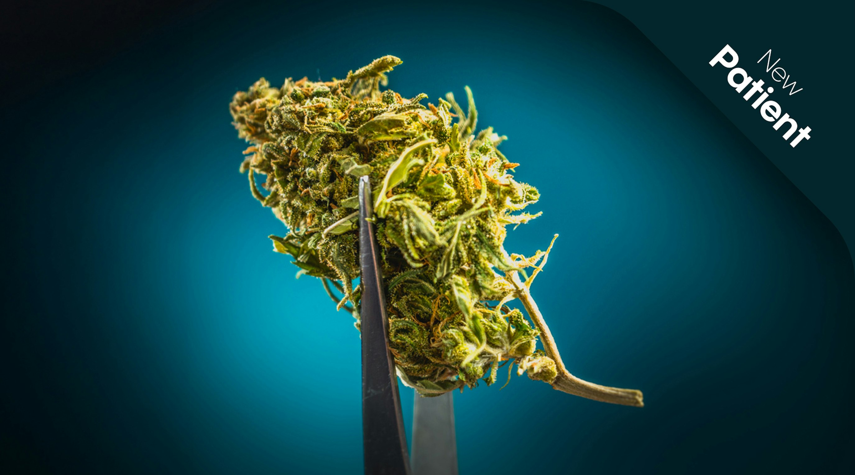 is my medical cannabis indica or sativa is my medical cannabis indica or sativa