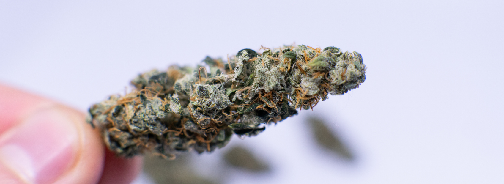 How does fasting affect the endocannabinoid system (ECS)?