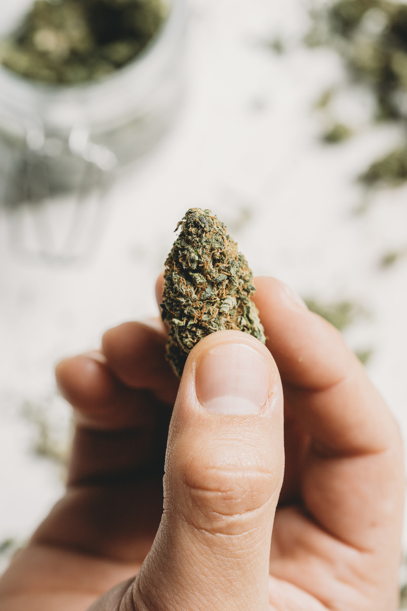 Medical cannabis flower and fasting