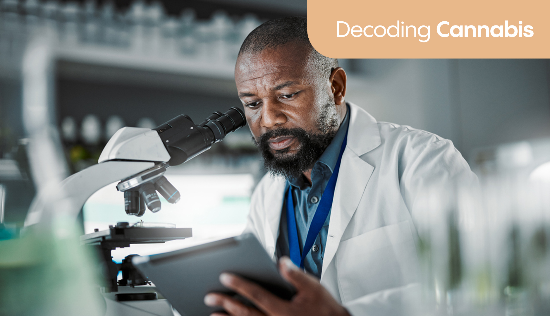 Welcome to decoding cannabis