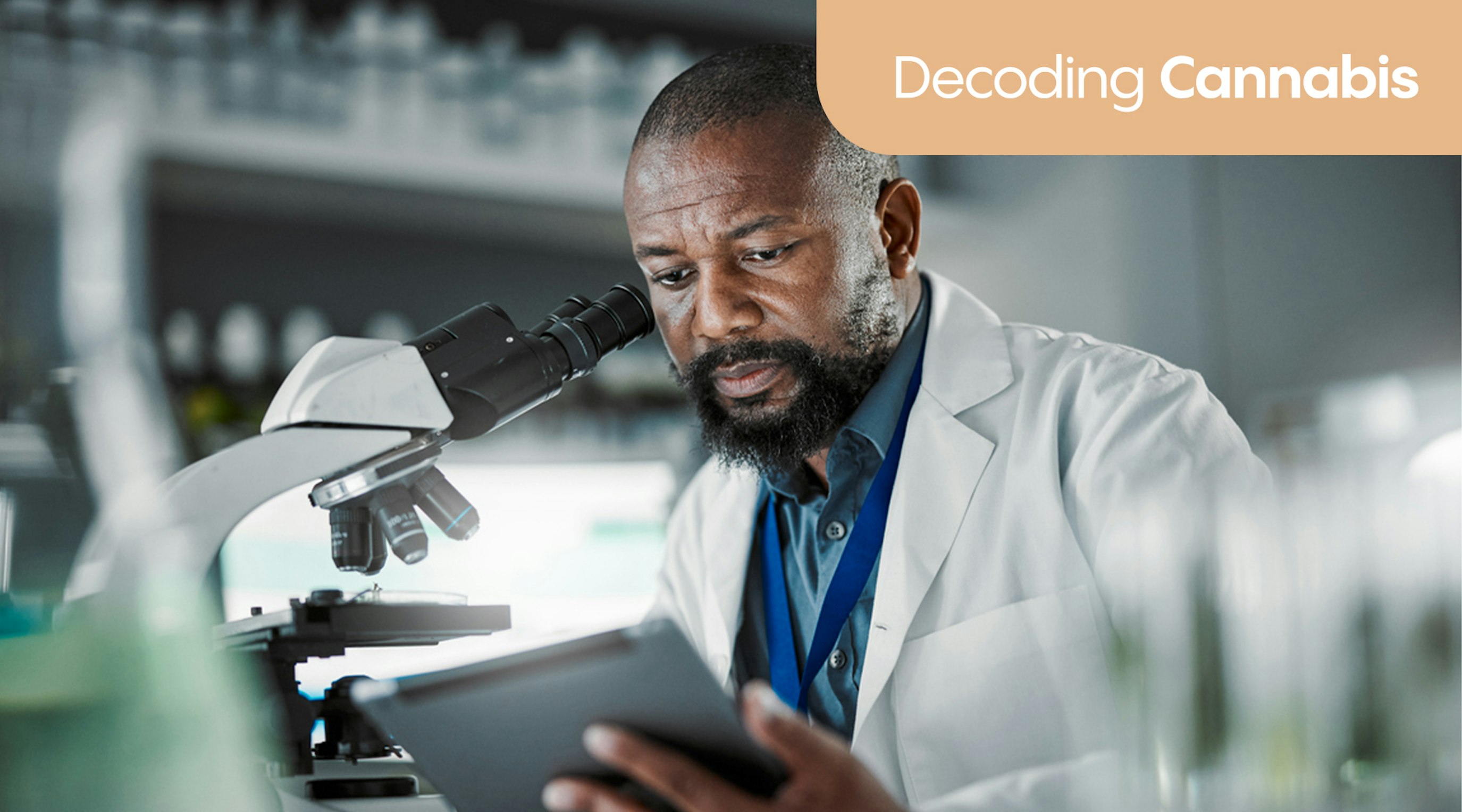 Welcome to decoding cannabis Welcome to decoding cannabis