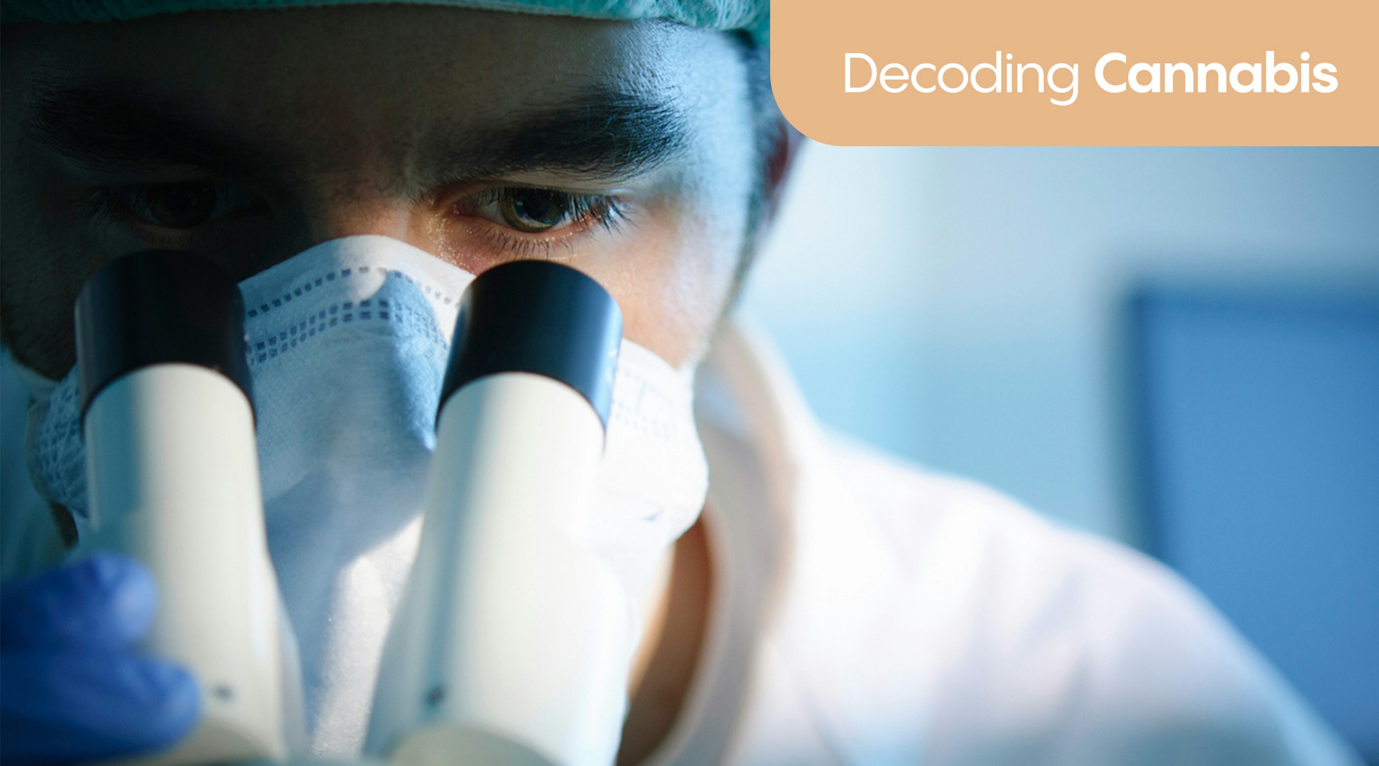 Decoding cannabis 1 Decoding cannabis 1