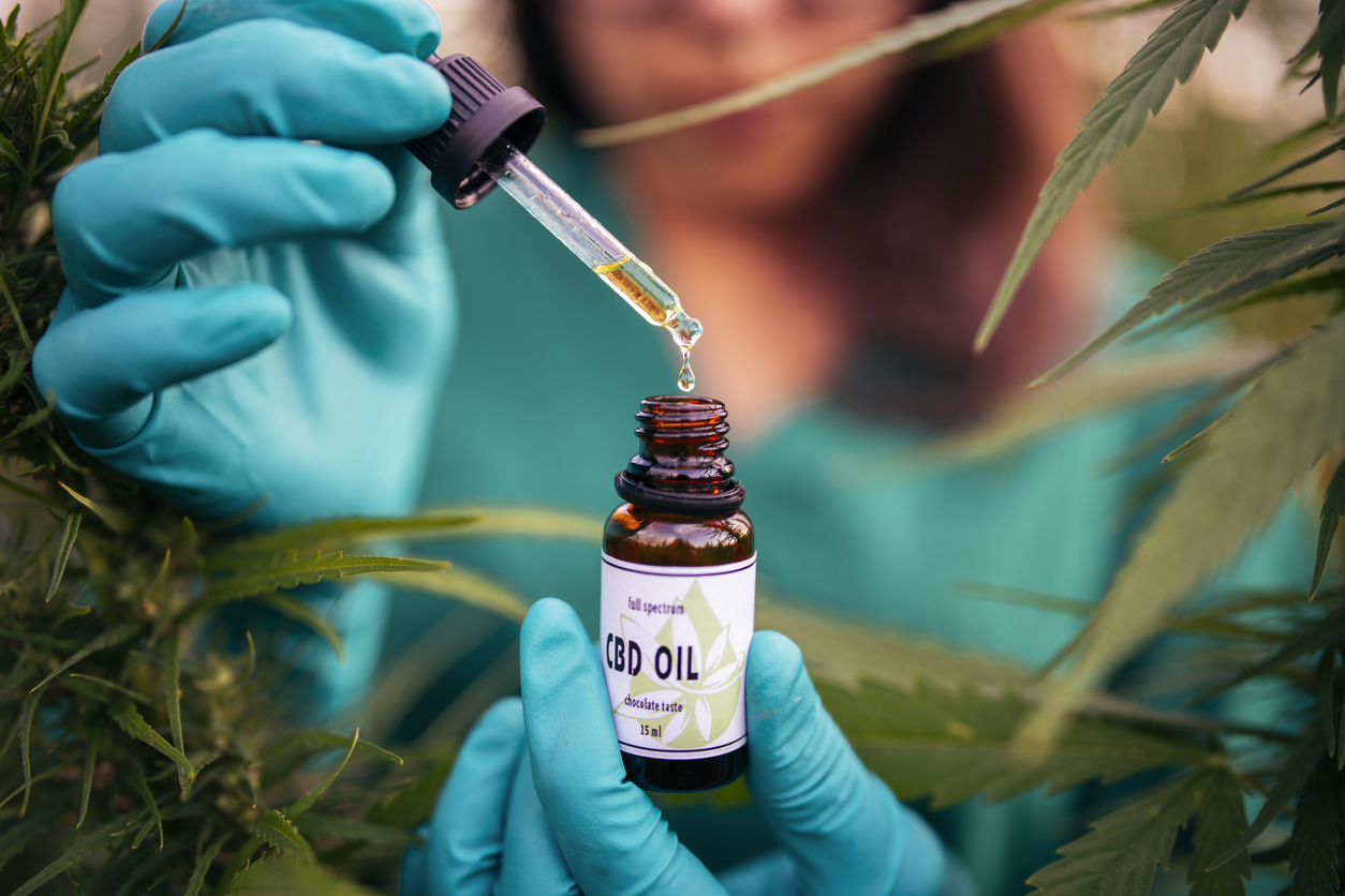 How much orally administered CBD is absorbed by your body?