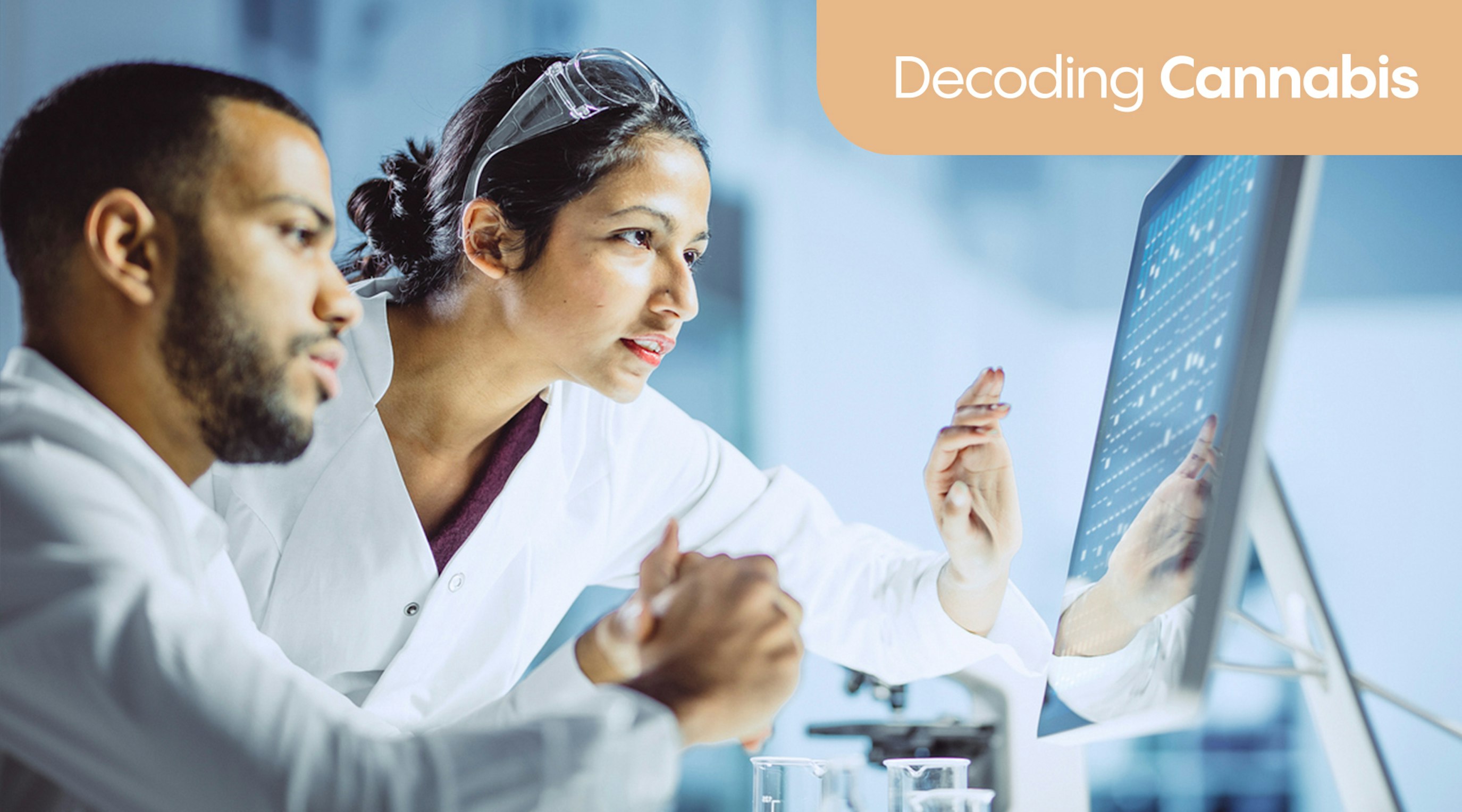 Decoding cannabis Decoding cannabis