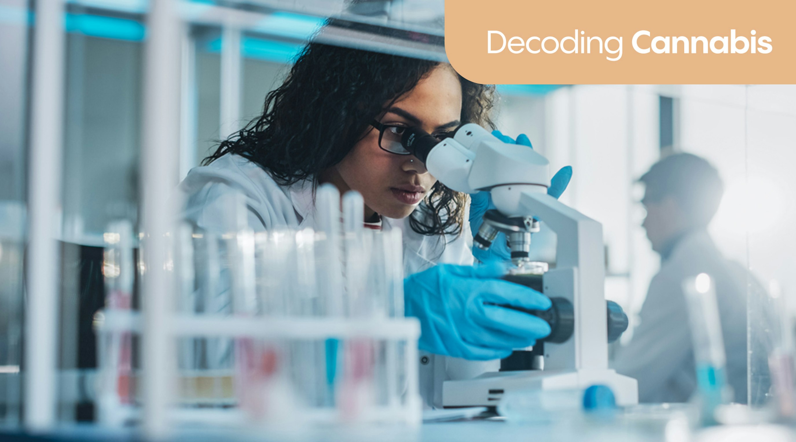 Decoding cannabis Decoding cannabis