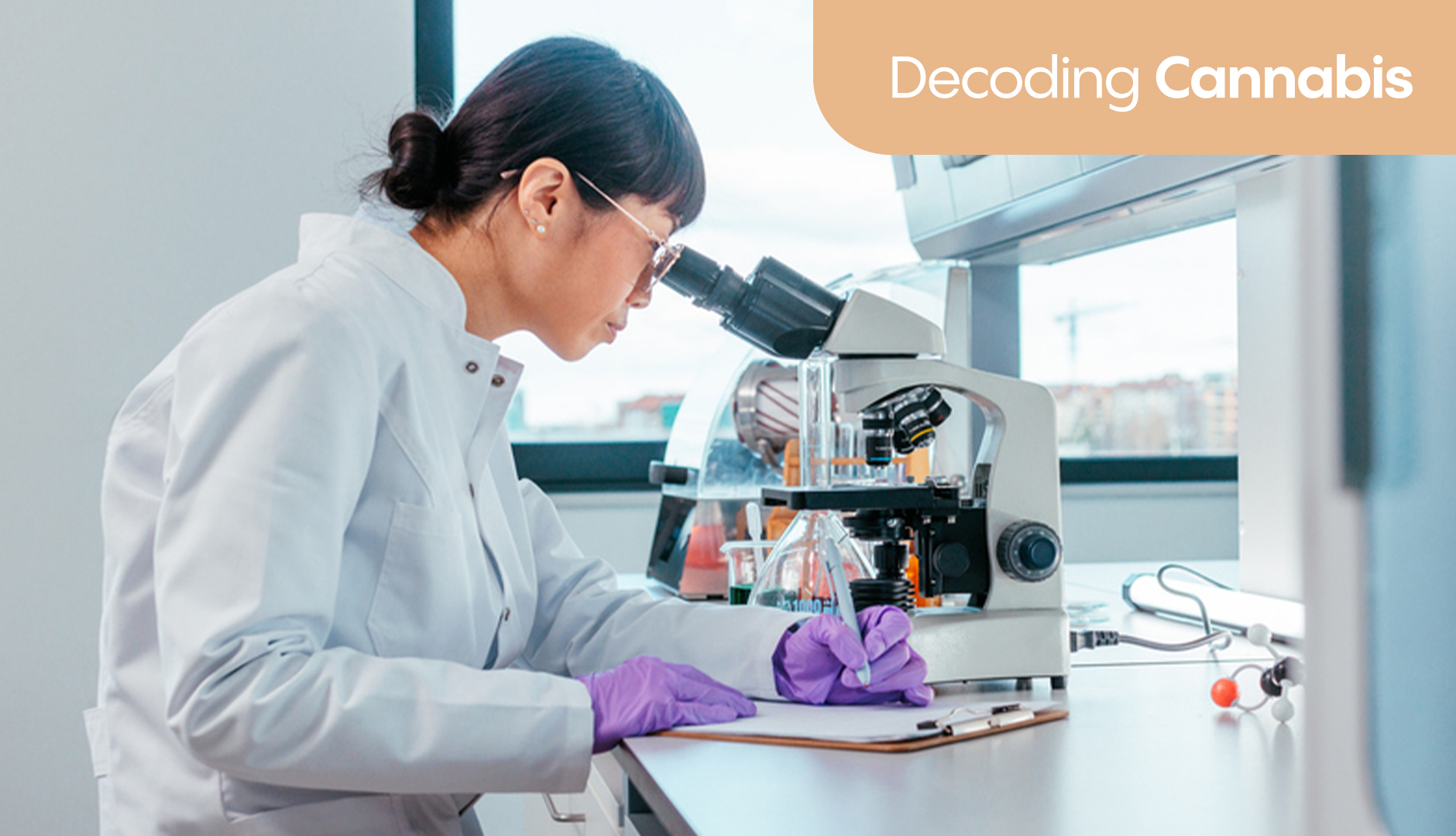 Decoding Cannabis: Can medical cannabis support gut issues (nausea, IBS, IBD) and digestion?