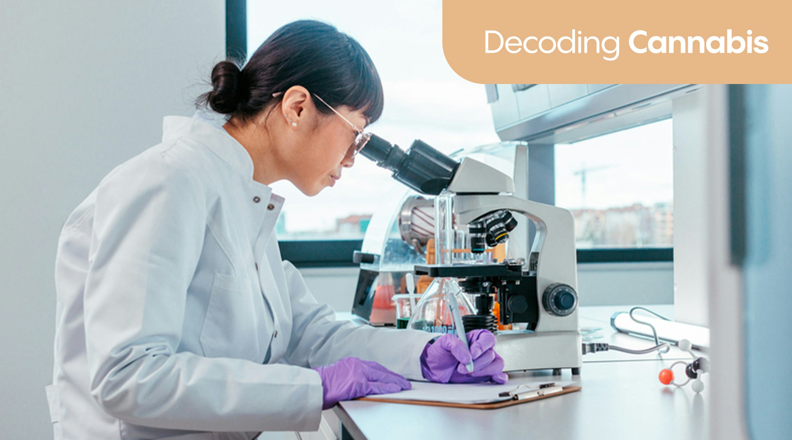 Decoding Cannabis: Can medical cannabis support gut issues (nausea, IBS, IBD) and digestion? Decoding Cannabis: Can medical cannabis support gut issues (nausea, IBS, IBD) and digestion?