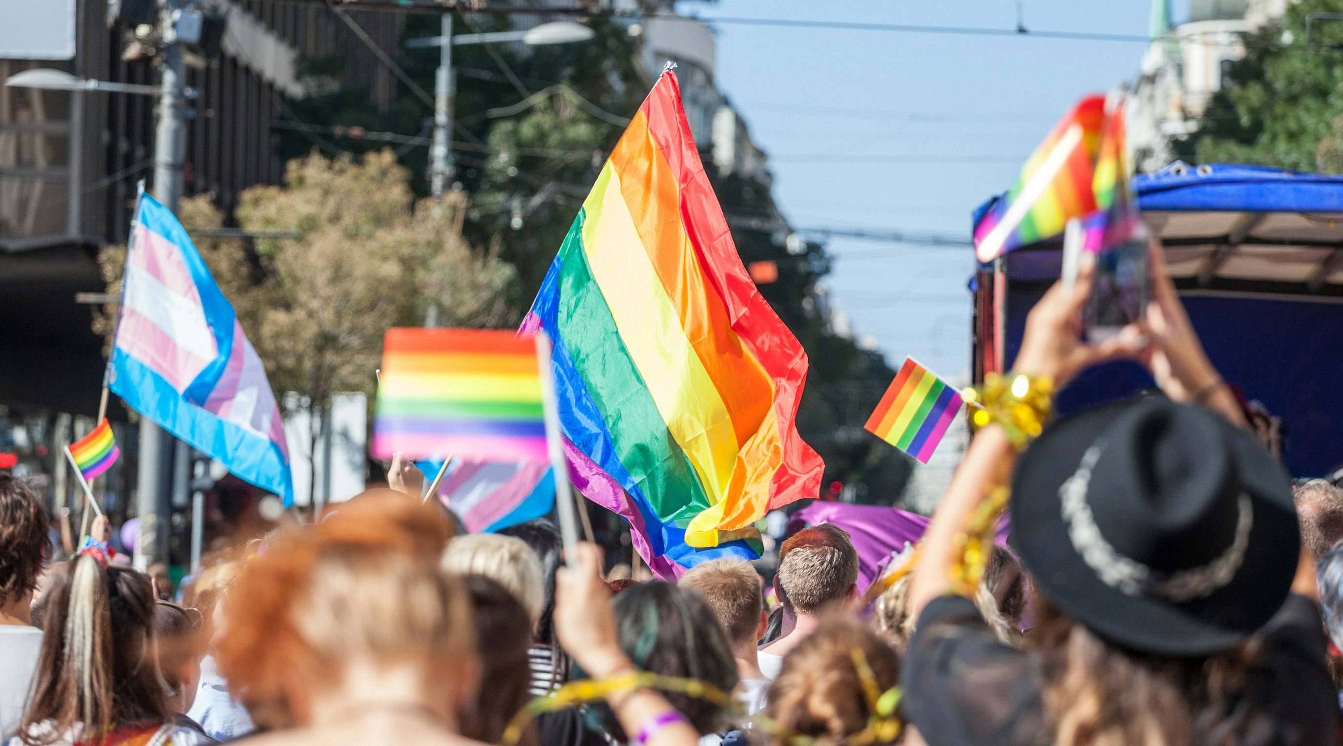 Pride, PTSD, and plant-based approaches Pride, PTSD, and plant-based approaches