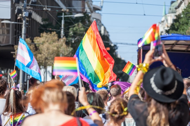 Pride, PTSD, and plant-based approaches