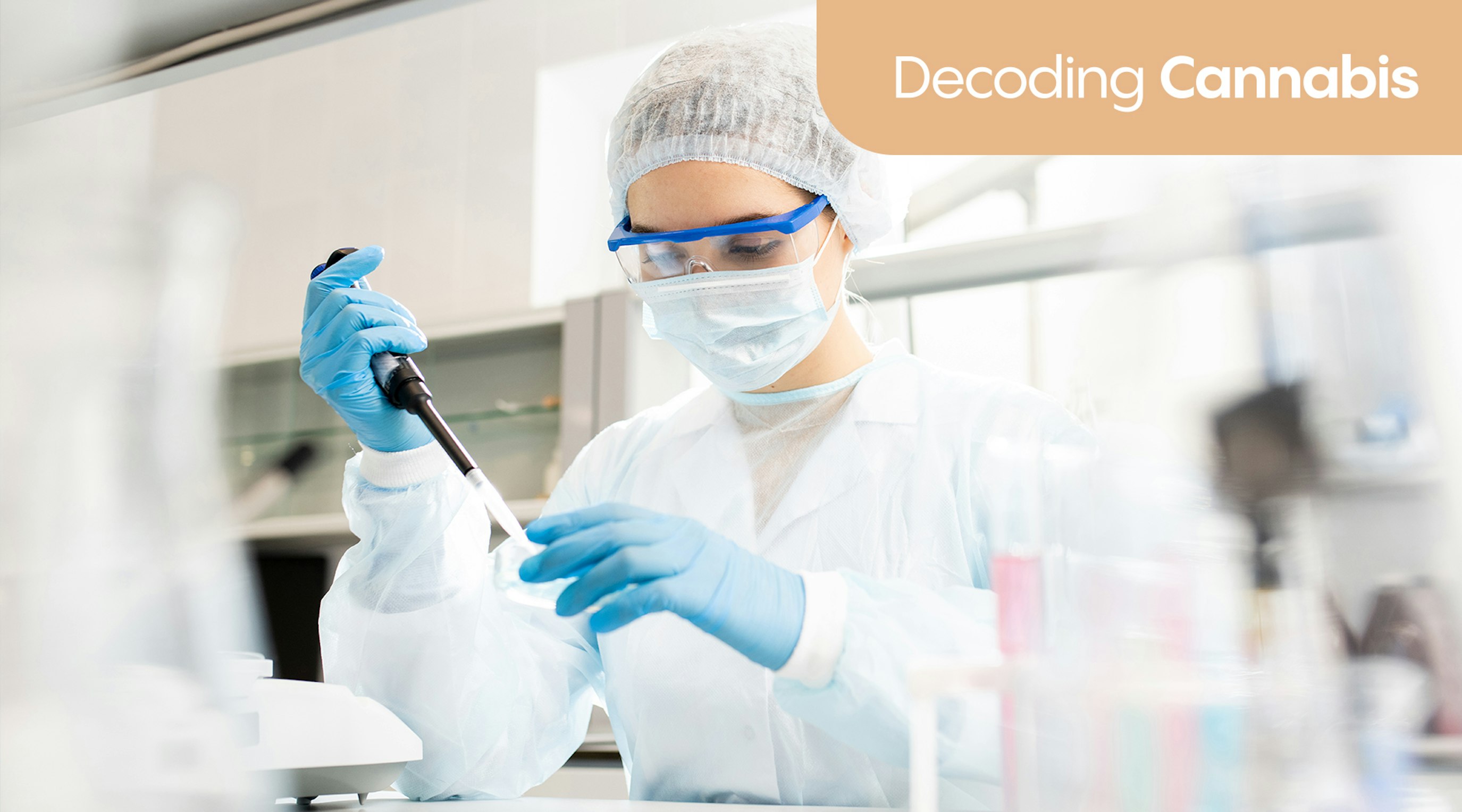 How medical cannabis (THC and CBD) helps manage neurological conditions How medical cannabis (THC and CBD) helps manage neurological conditions