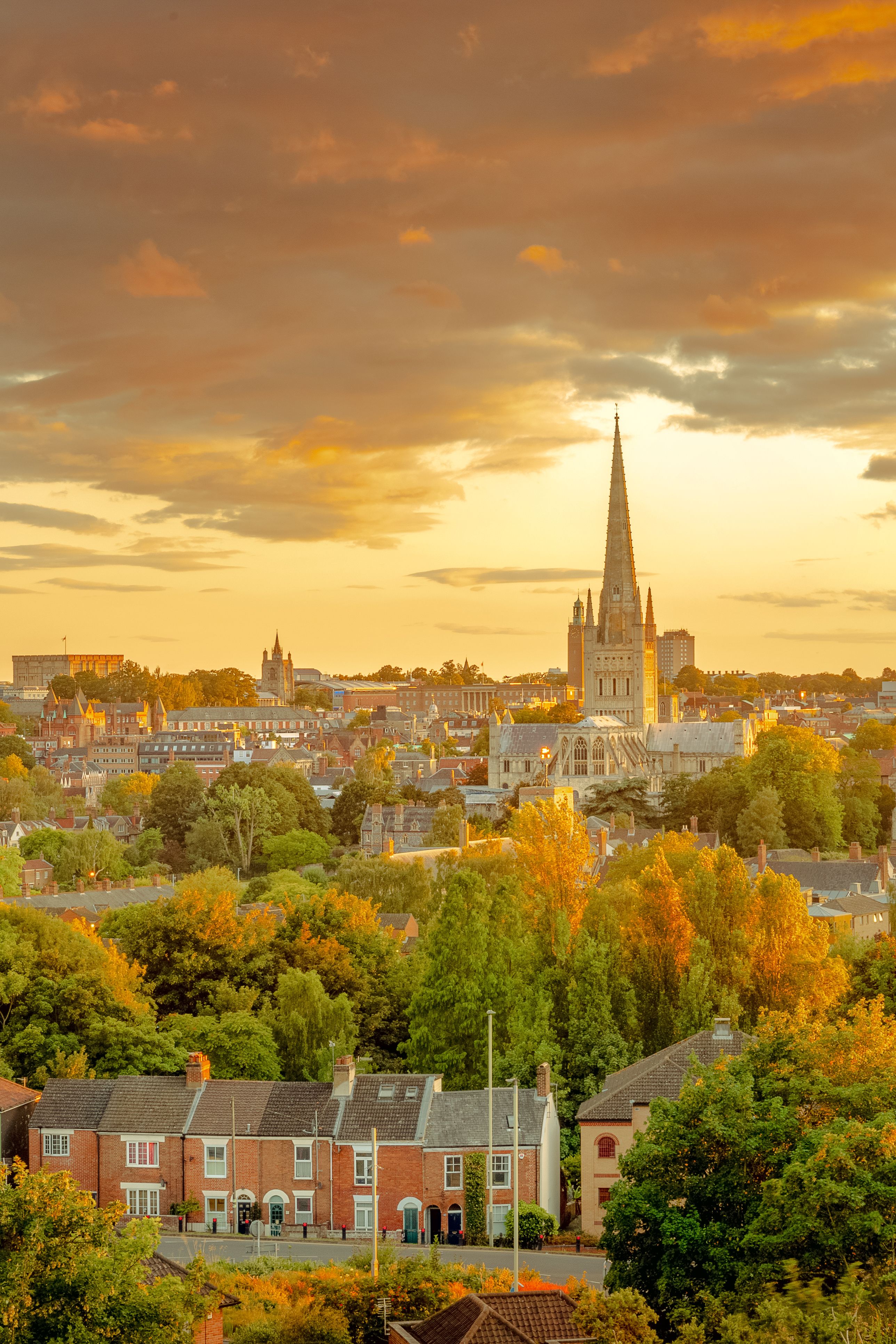 Medical Cannabis County Norfolk