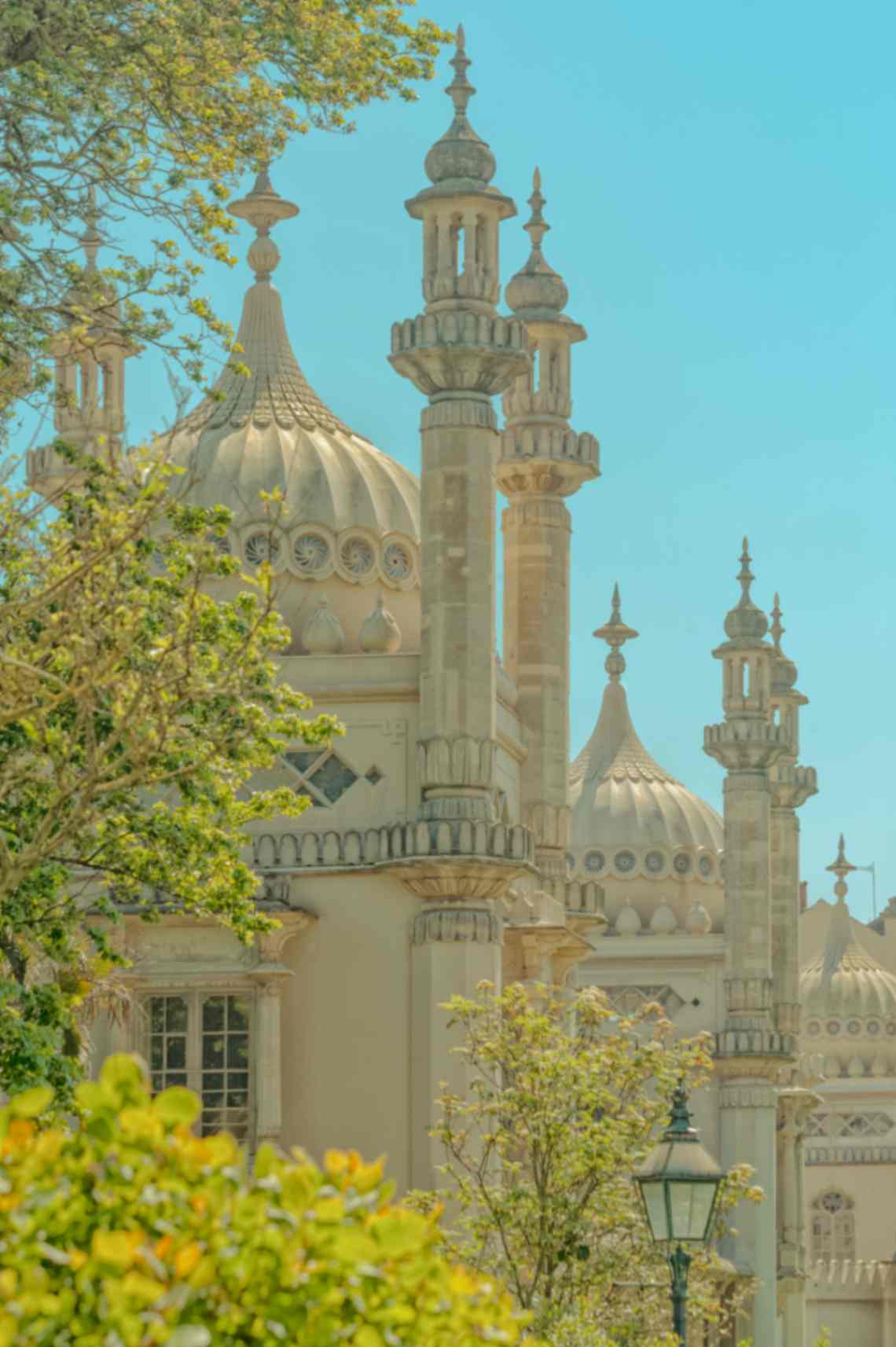 Medical Cannabis City Brighton UK