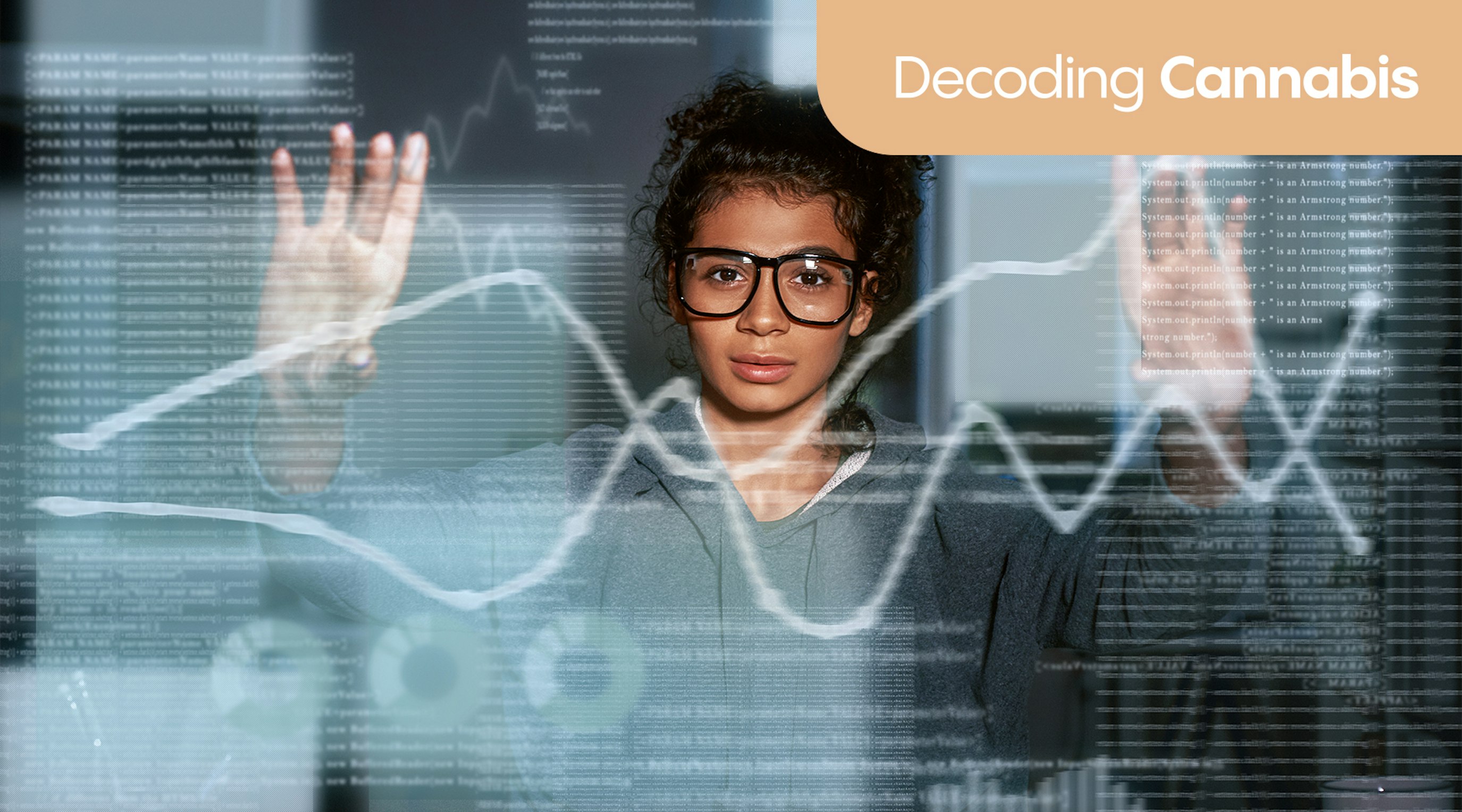 Decoding cannabis Decoding cannabis