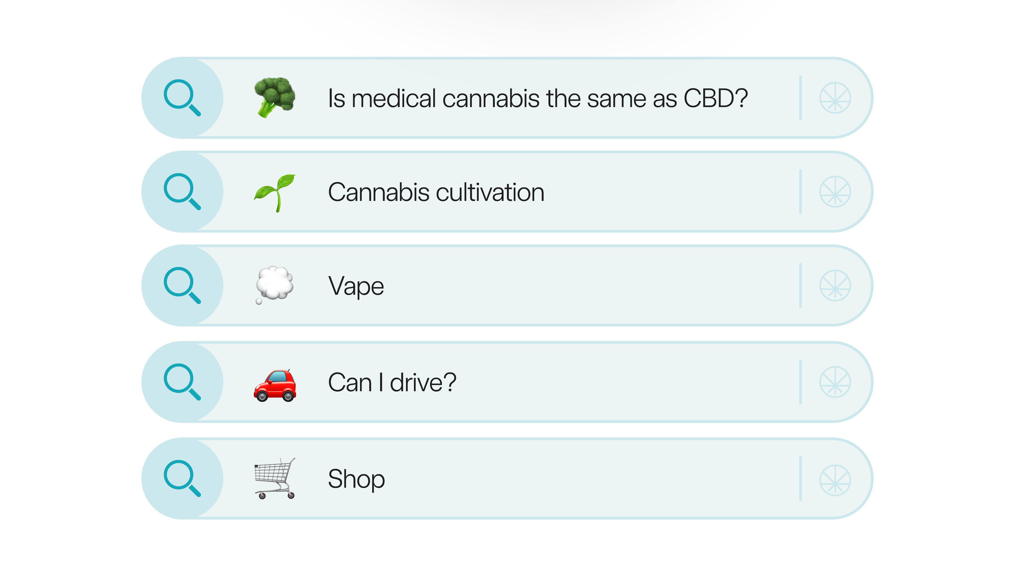 On the Releaf website, what are people searching for the most?