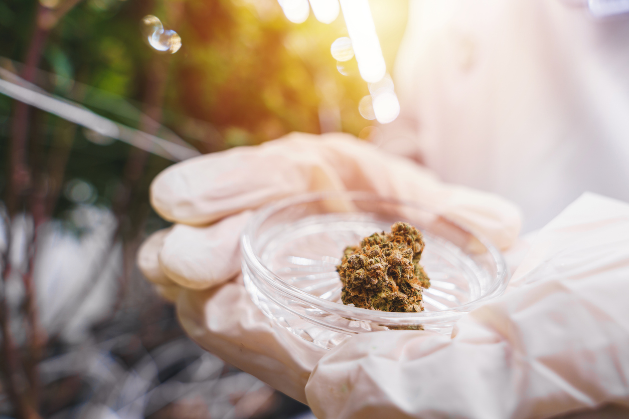 Releaf’s stance on medical cannabis and breastfeeding