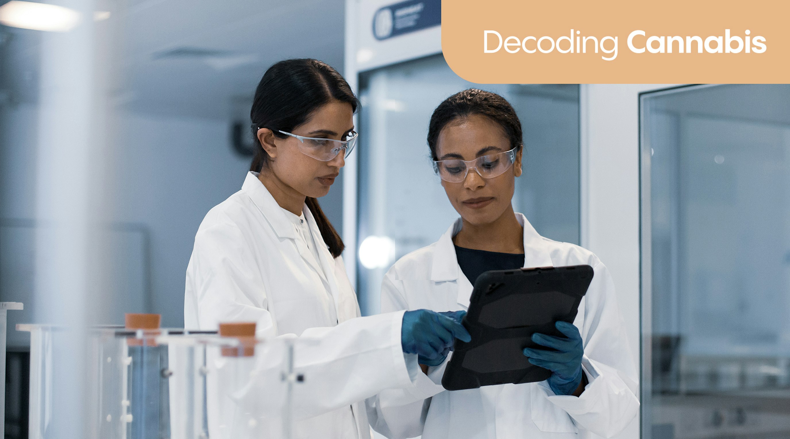 Could CBG become the most versatile cannabinoid in medicine? Could CBG become the most versatile cannabinoid in medicine?