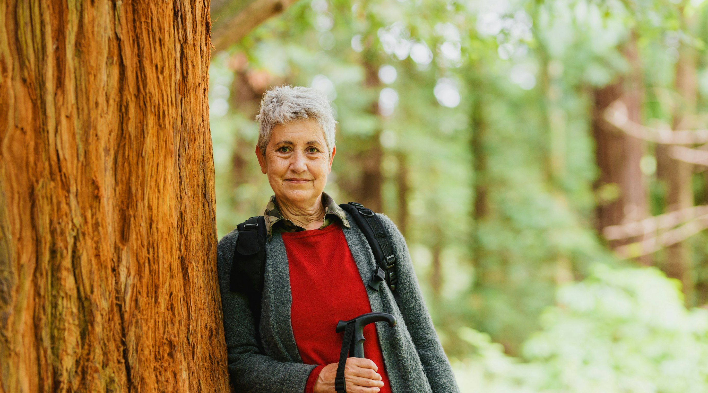 Green Friday UK: Releaf’s biggest ever discounts