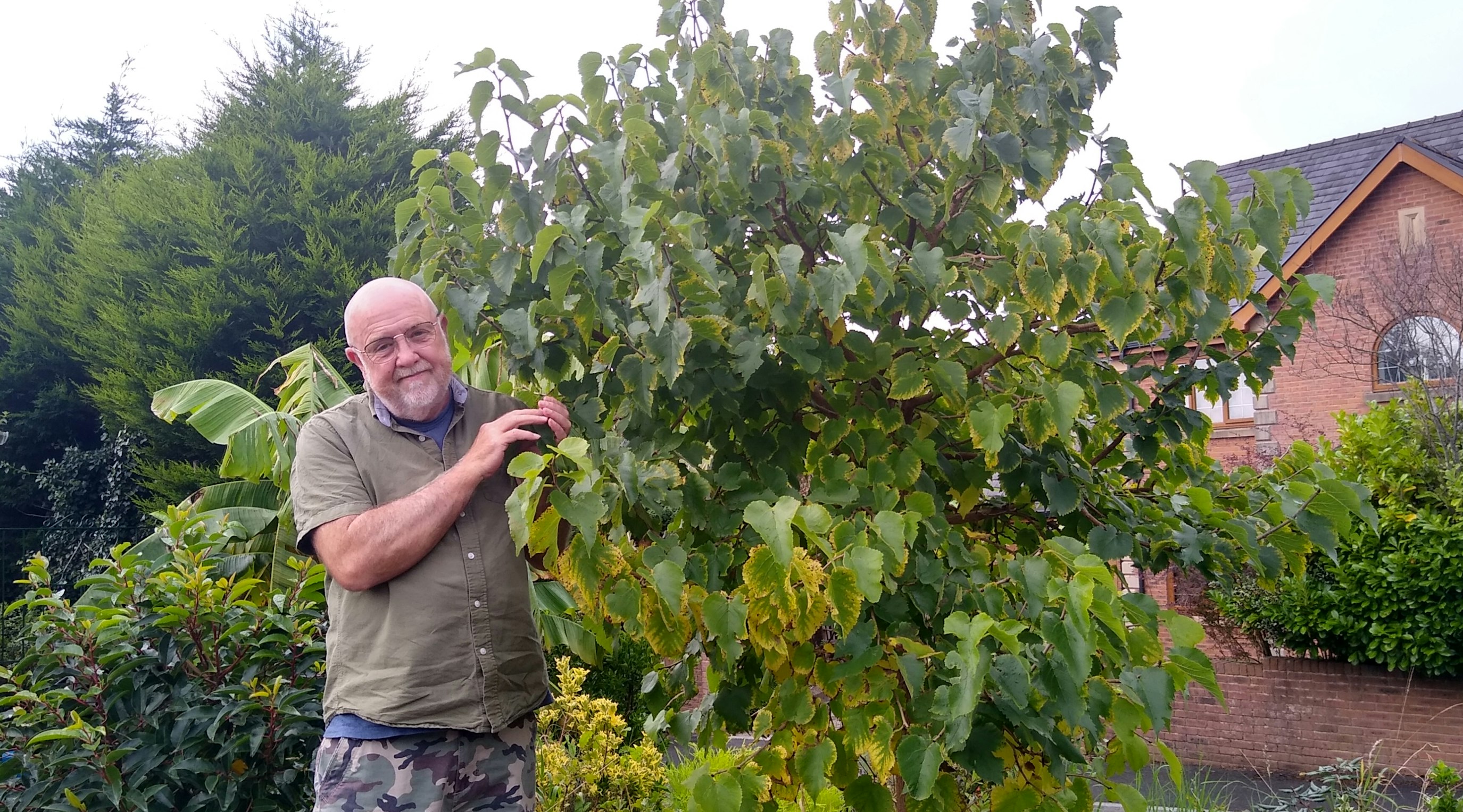 Steven Griffiths Medical Cannabis Story Steven Griffiths Medical Cannabis Story