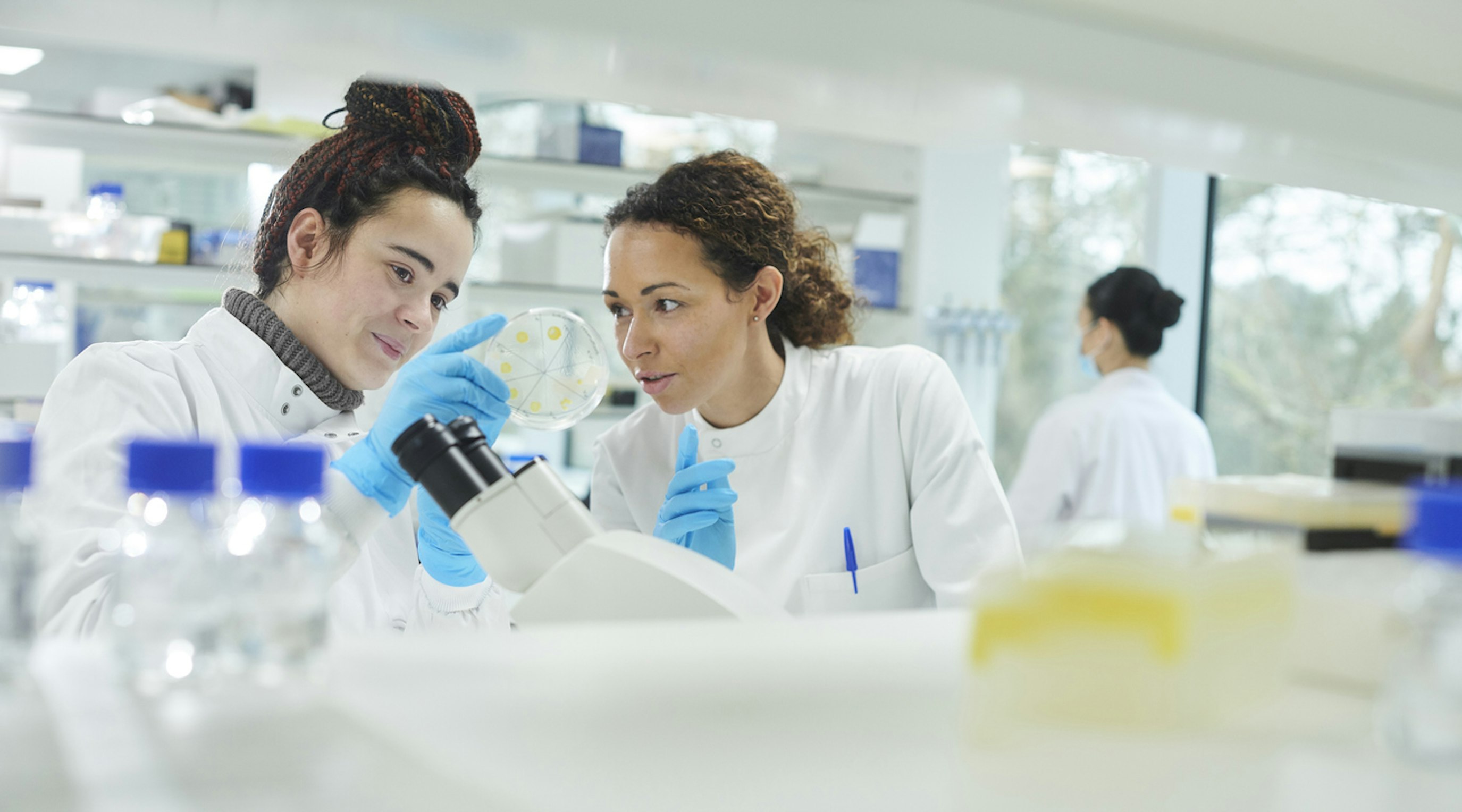 International Day of Women and Girls in Science