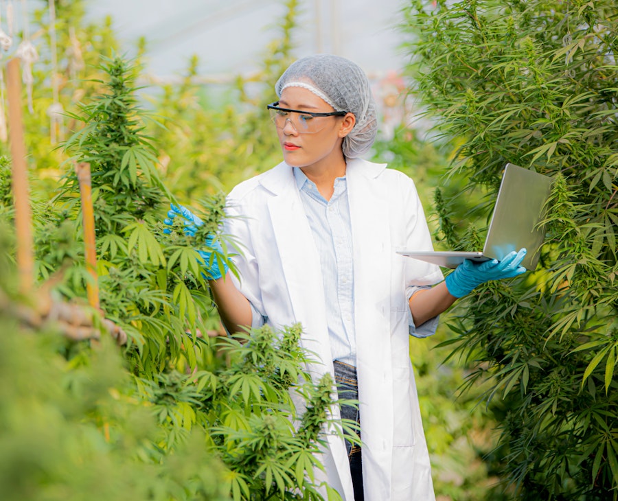 Releaf Cannabis Clinic Company Updates | Releaf UK